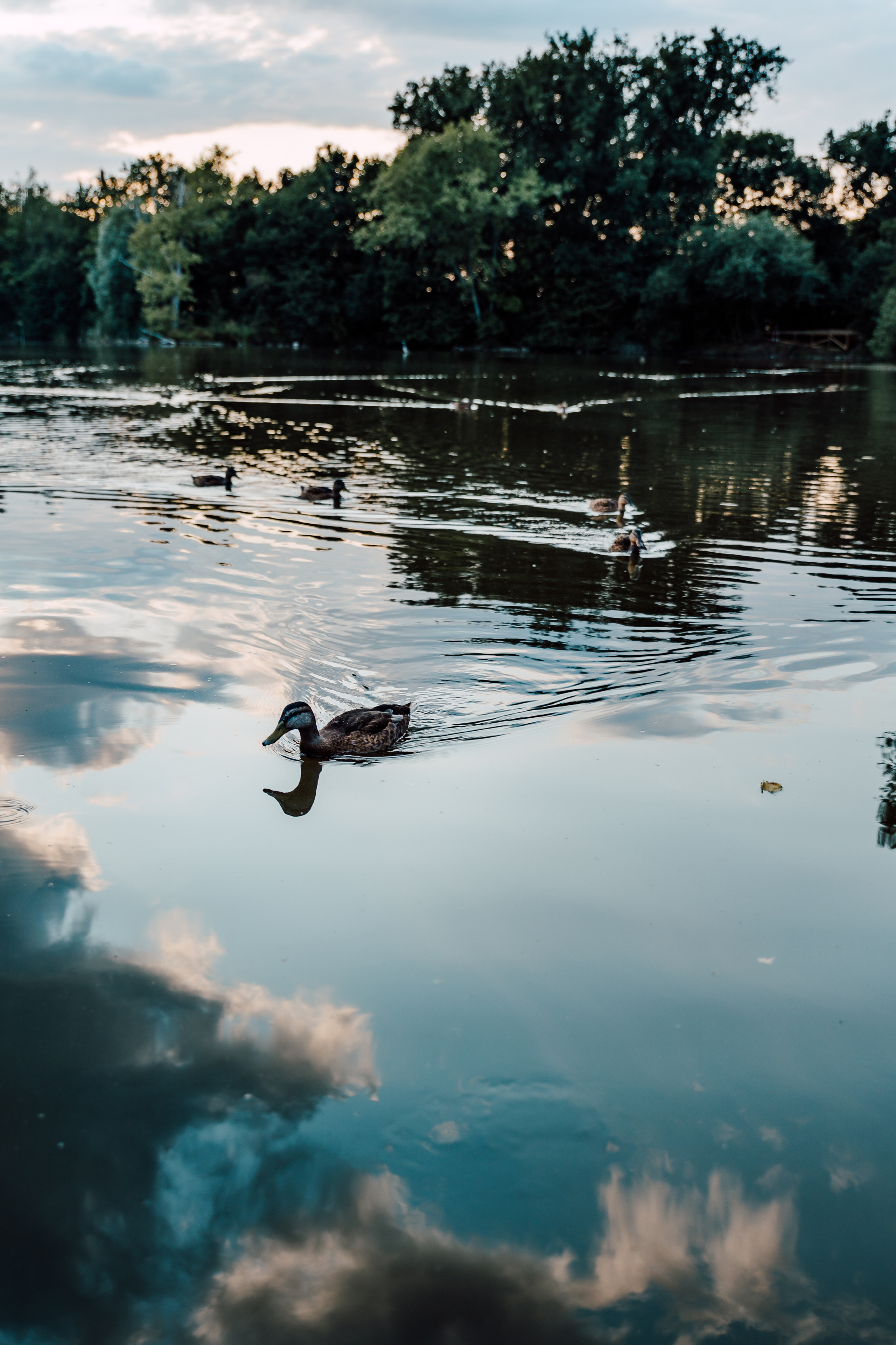 Elopement by the lake