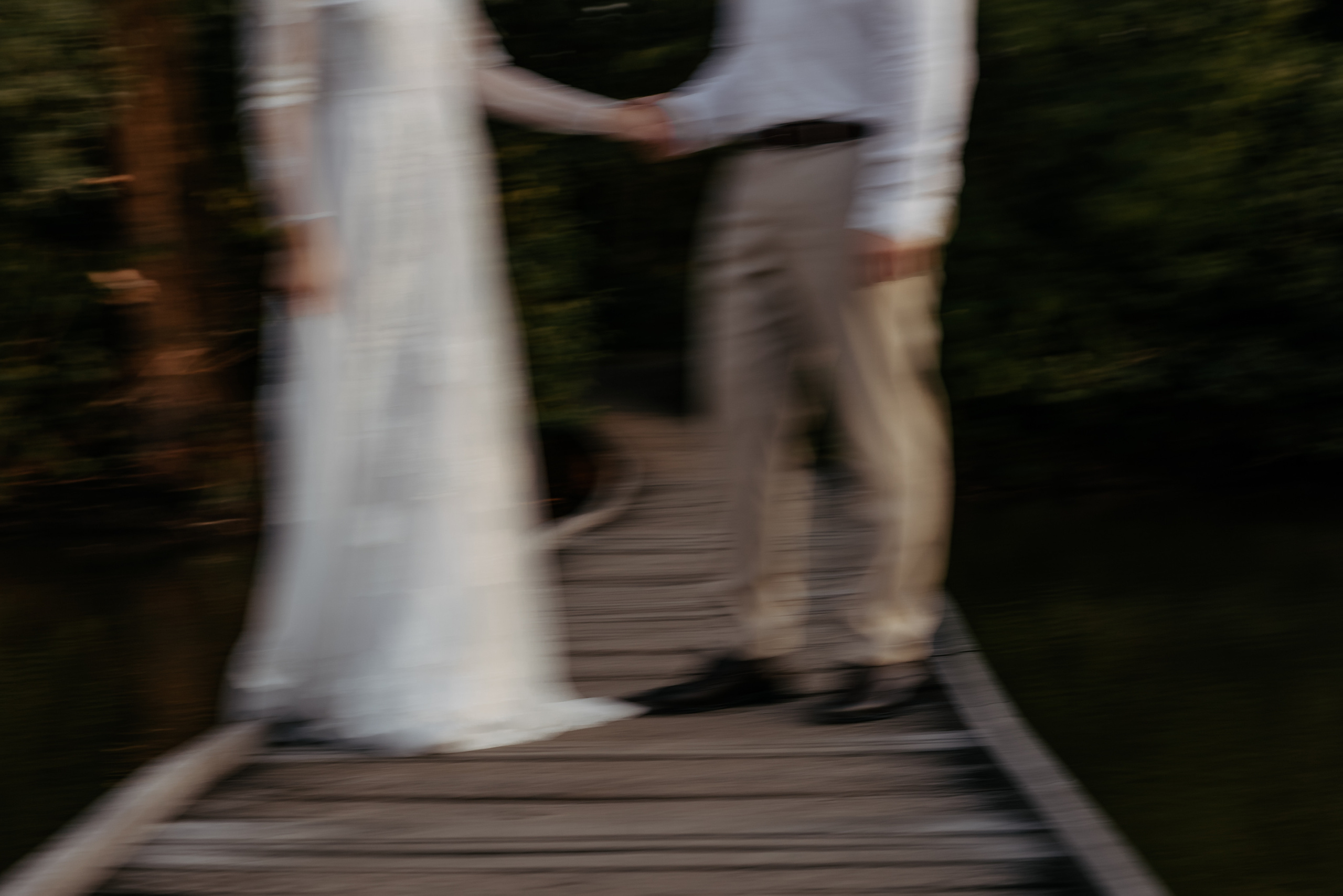 Elopement by the lake