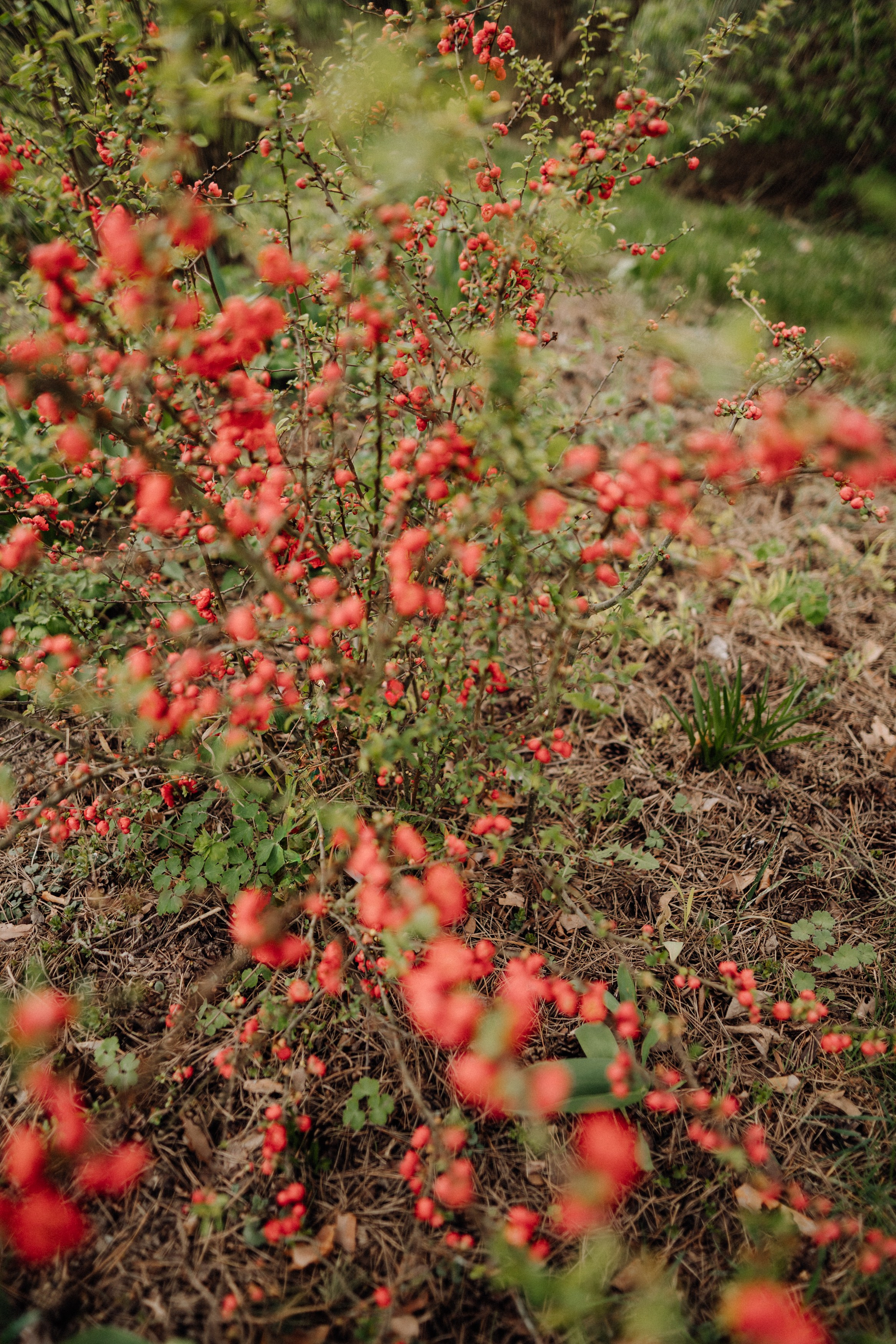 Nature. Фотограф в Праге Анна Лебедева
