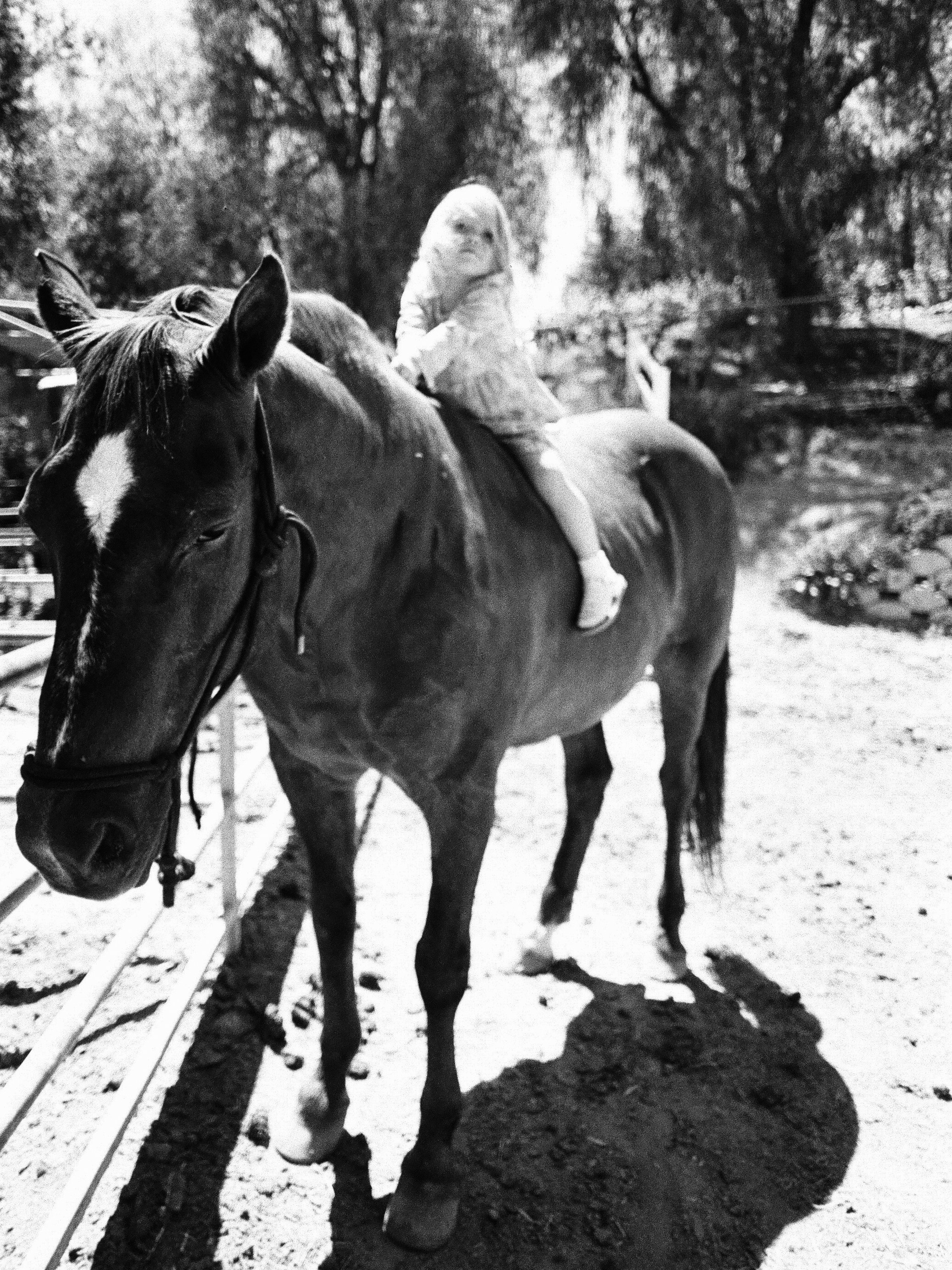 FILM PHOTOGRAPHY. Фотограф и видеограф в США (и по всему миру) — Татьяна Иванова