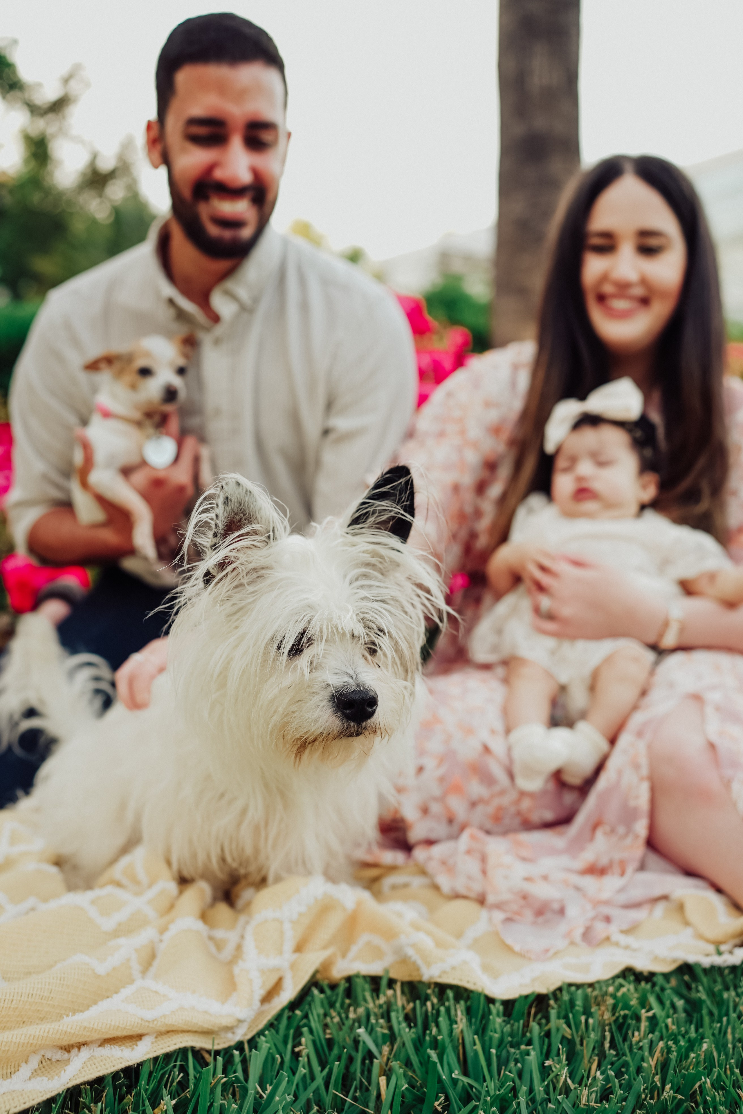 Family. Maternity, family and newborn photography in San Francisco Bay Area