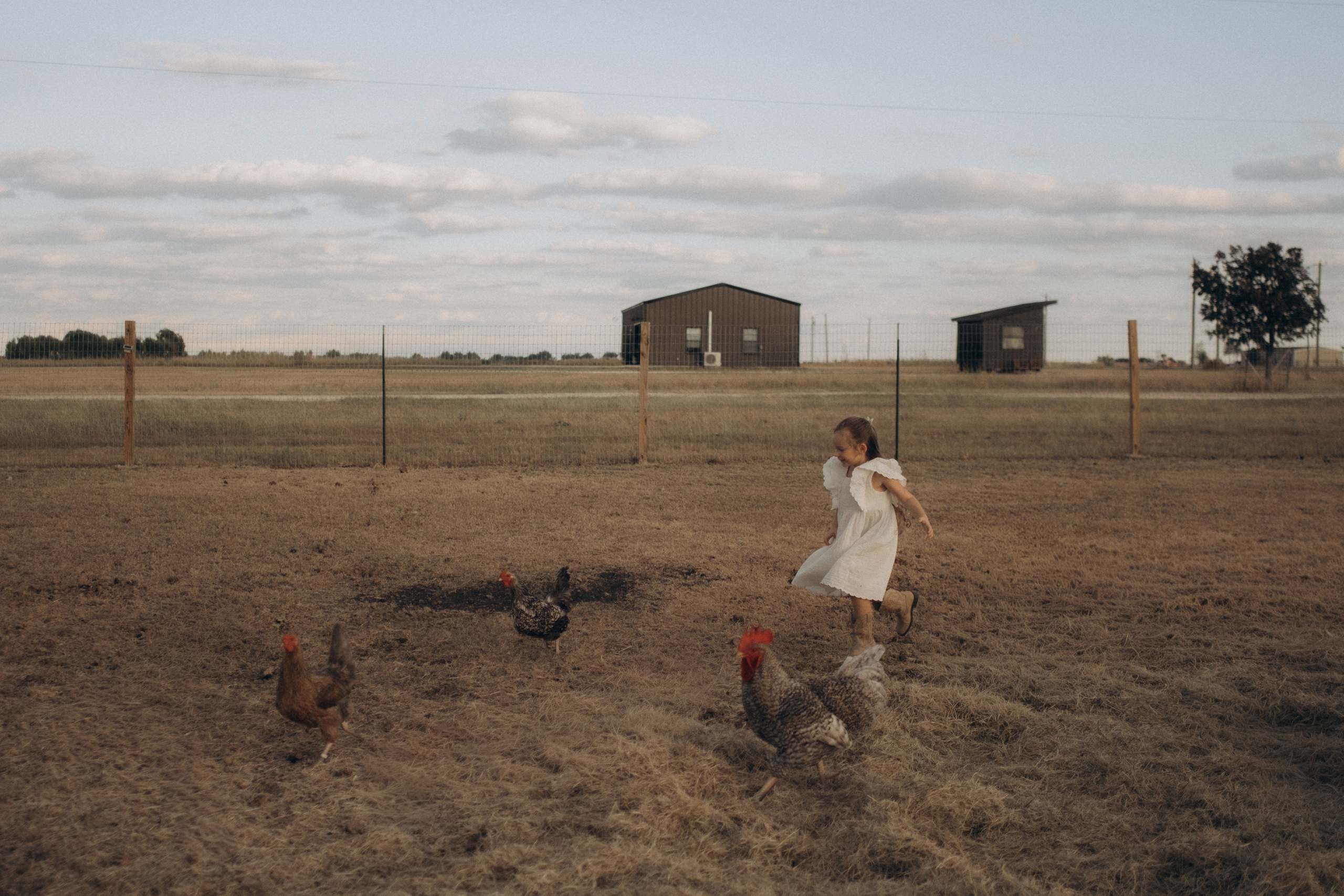 Farm Story. Lens Captures Life