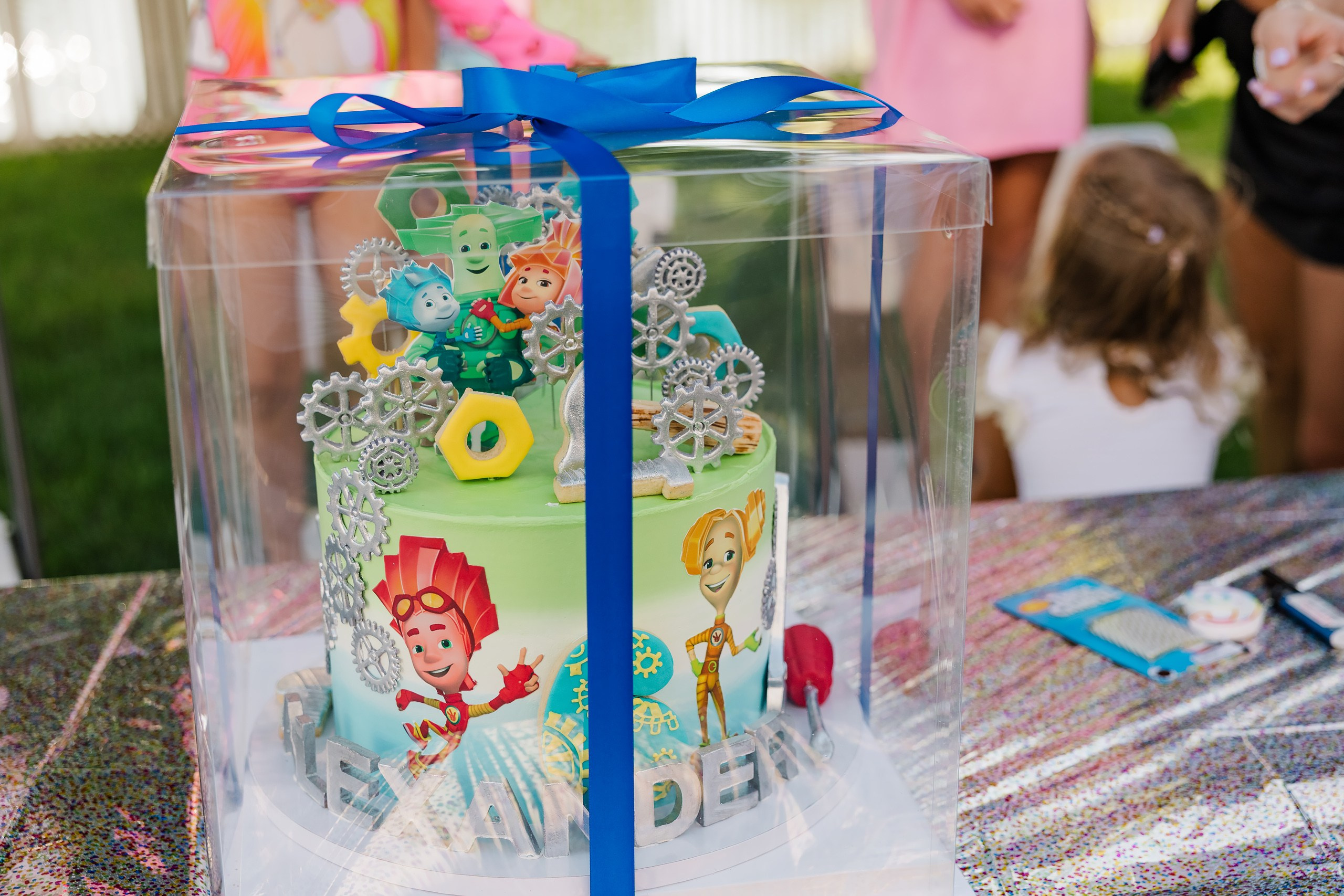 Birthday Party. Wedding family event photographer in Chicago Nick Yushevich