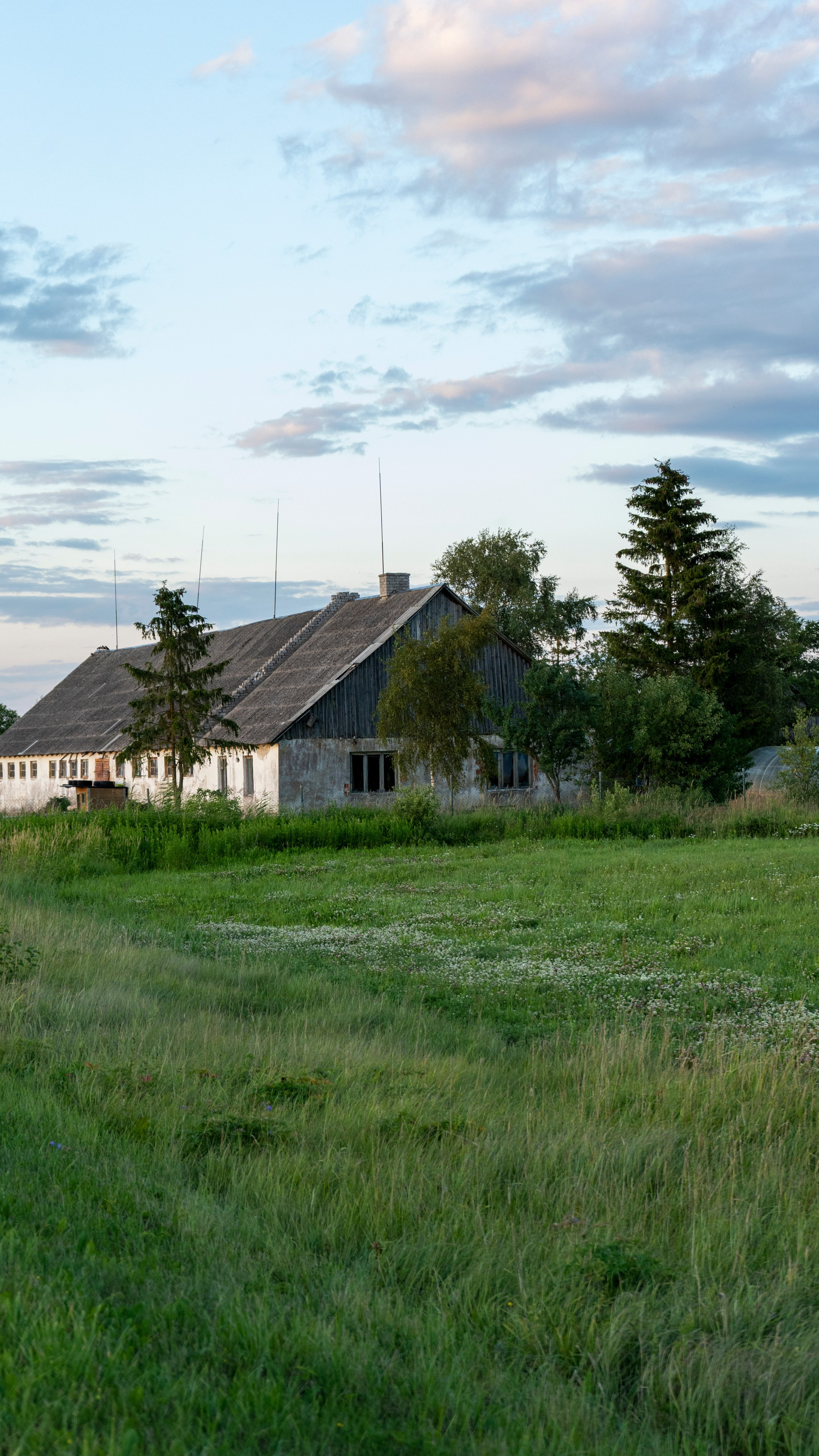 Whispers of Estonia. Photography | Videography | Marketing