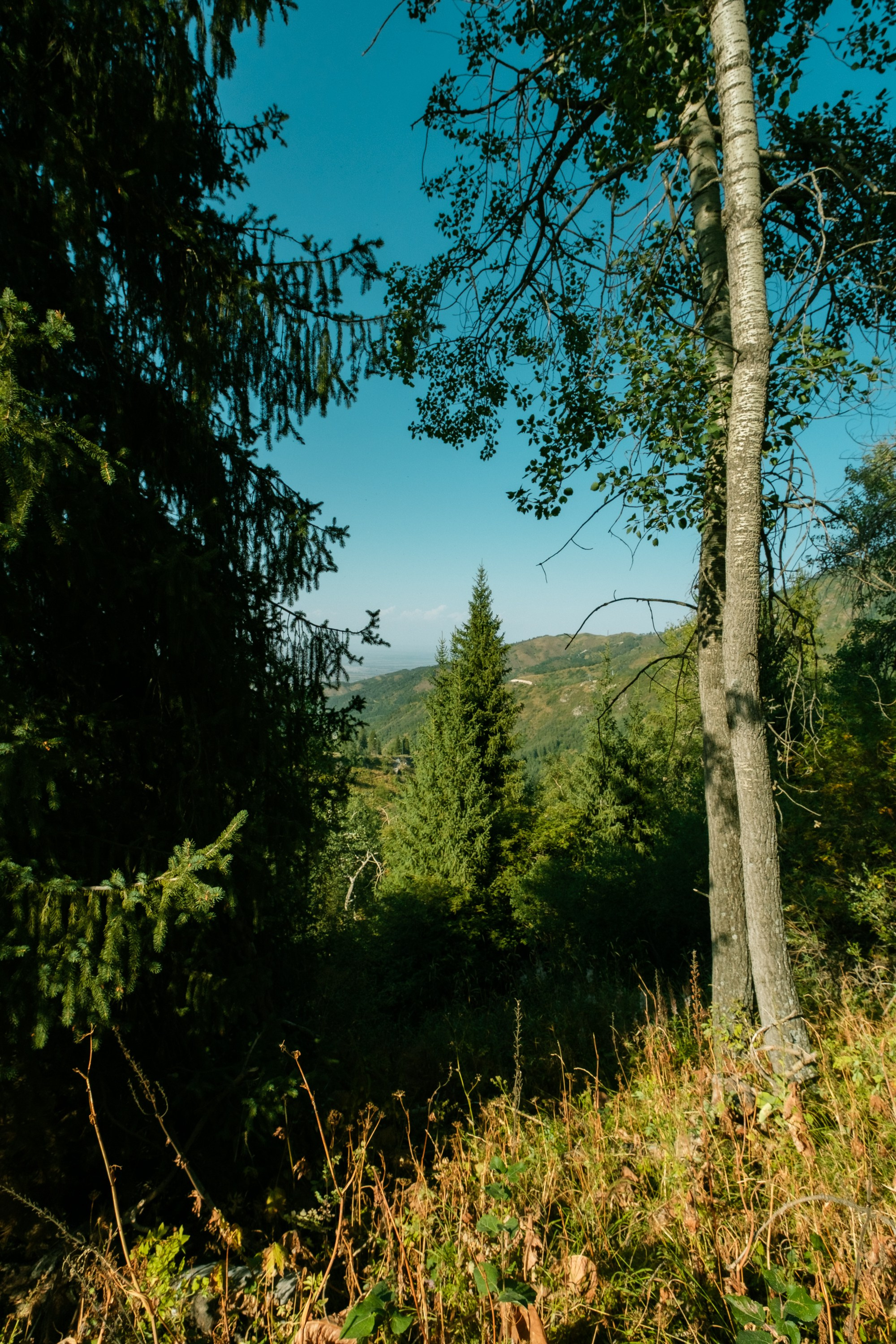 Sigma 12 mm F/1.4 DC DN Contemporary. Фотограф Григорий Кравец