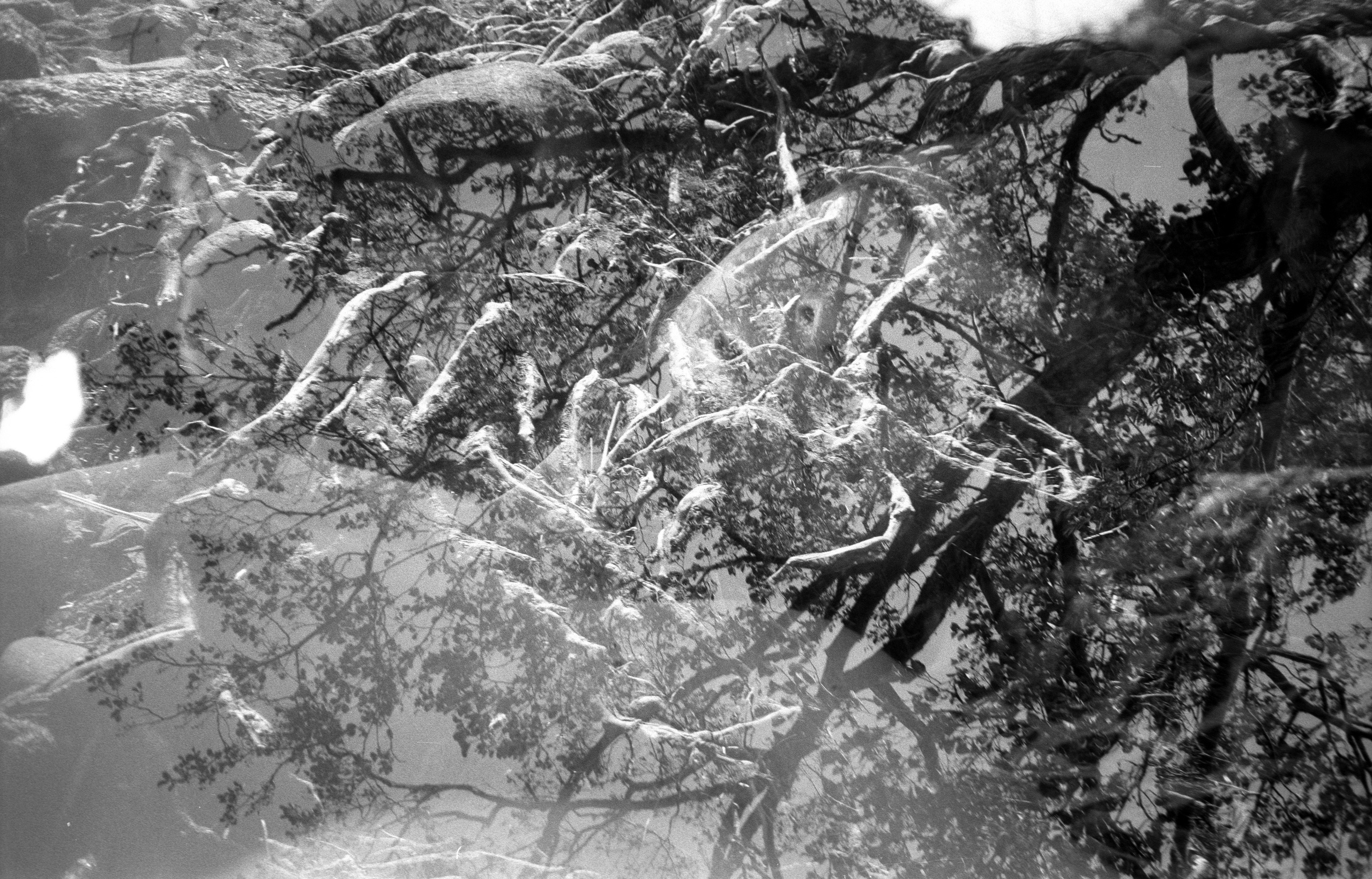 Experimental photos. GLISH ART — Timofey Glinin & Anastasia Shubina