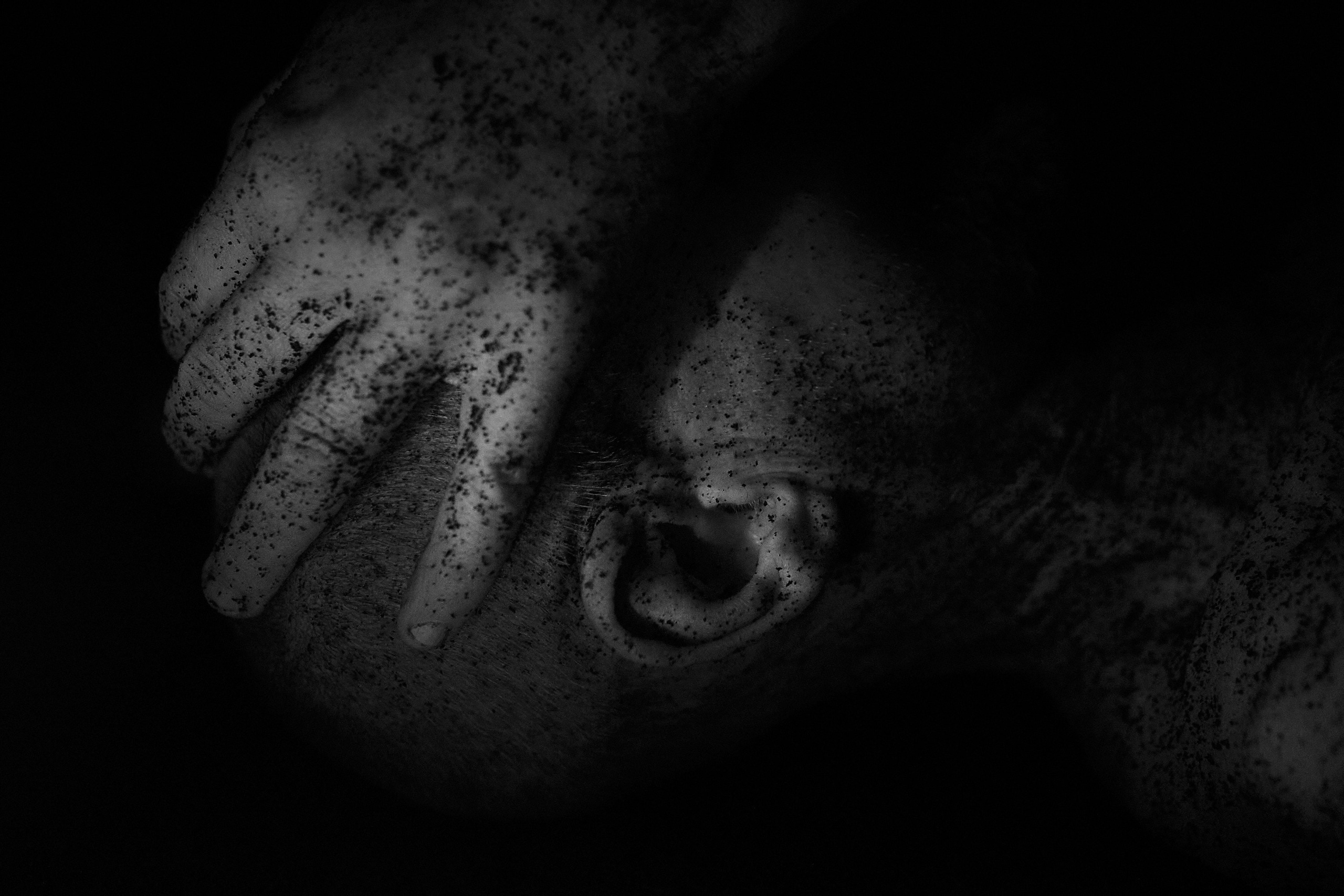 Portraits. GLISH ART — Timofey Glinin & Anastasia Shubina