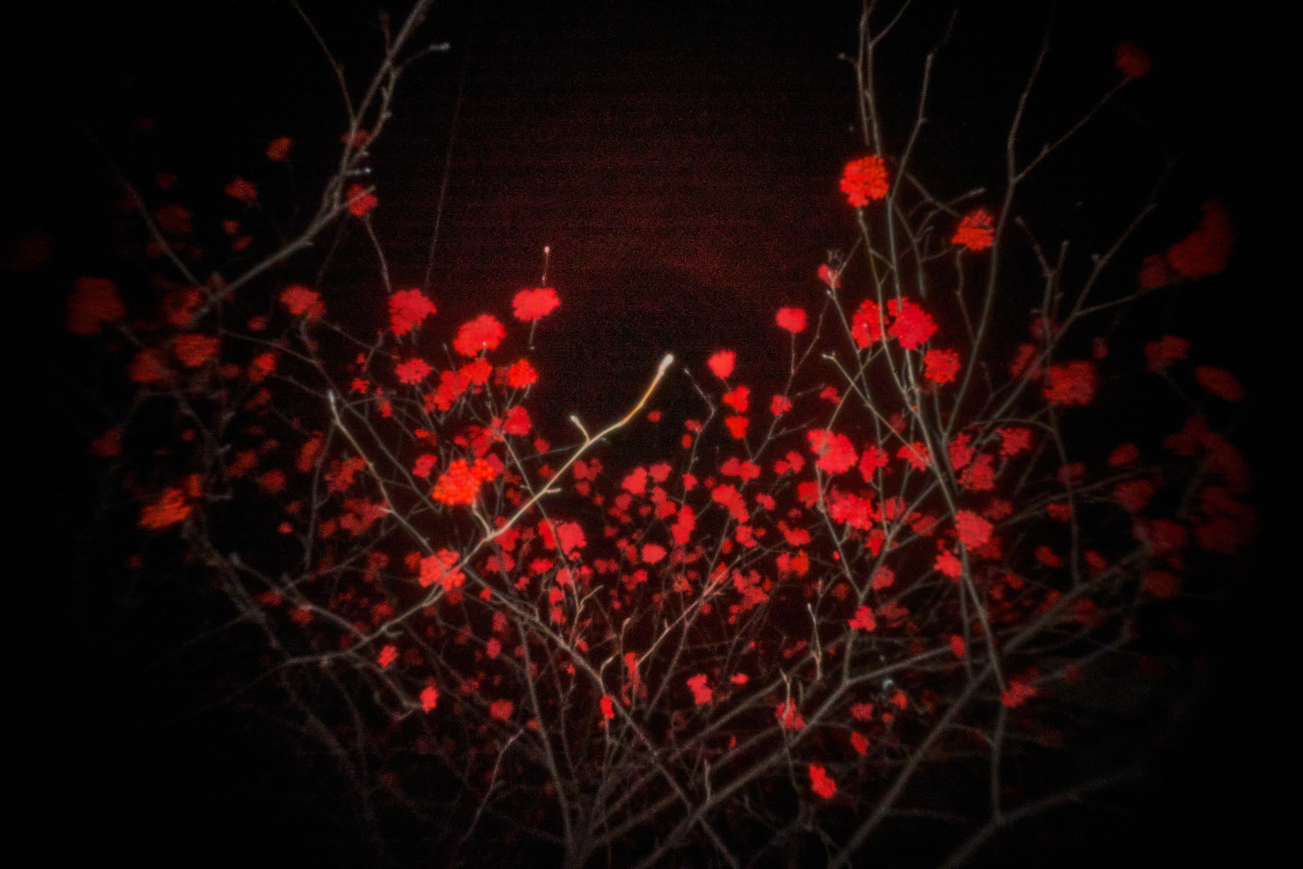 Experimental photos. GLISH ART — Timofey Glinin & Anastasia Shubina