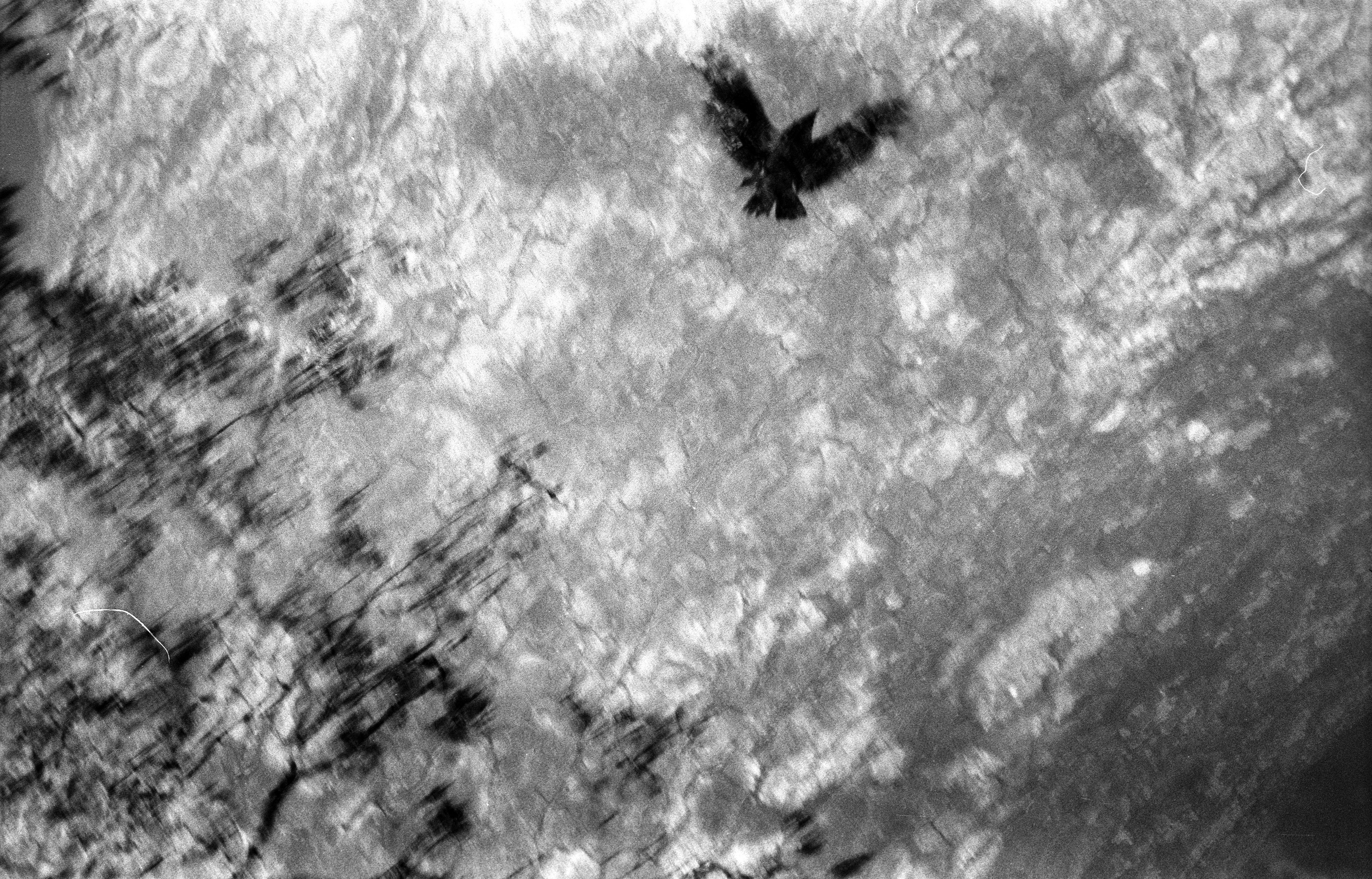 Experimental photos. GLISH ART — Timofey Glinin & Anastasia Shubina