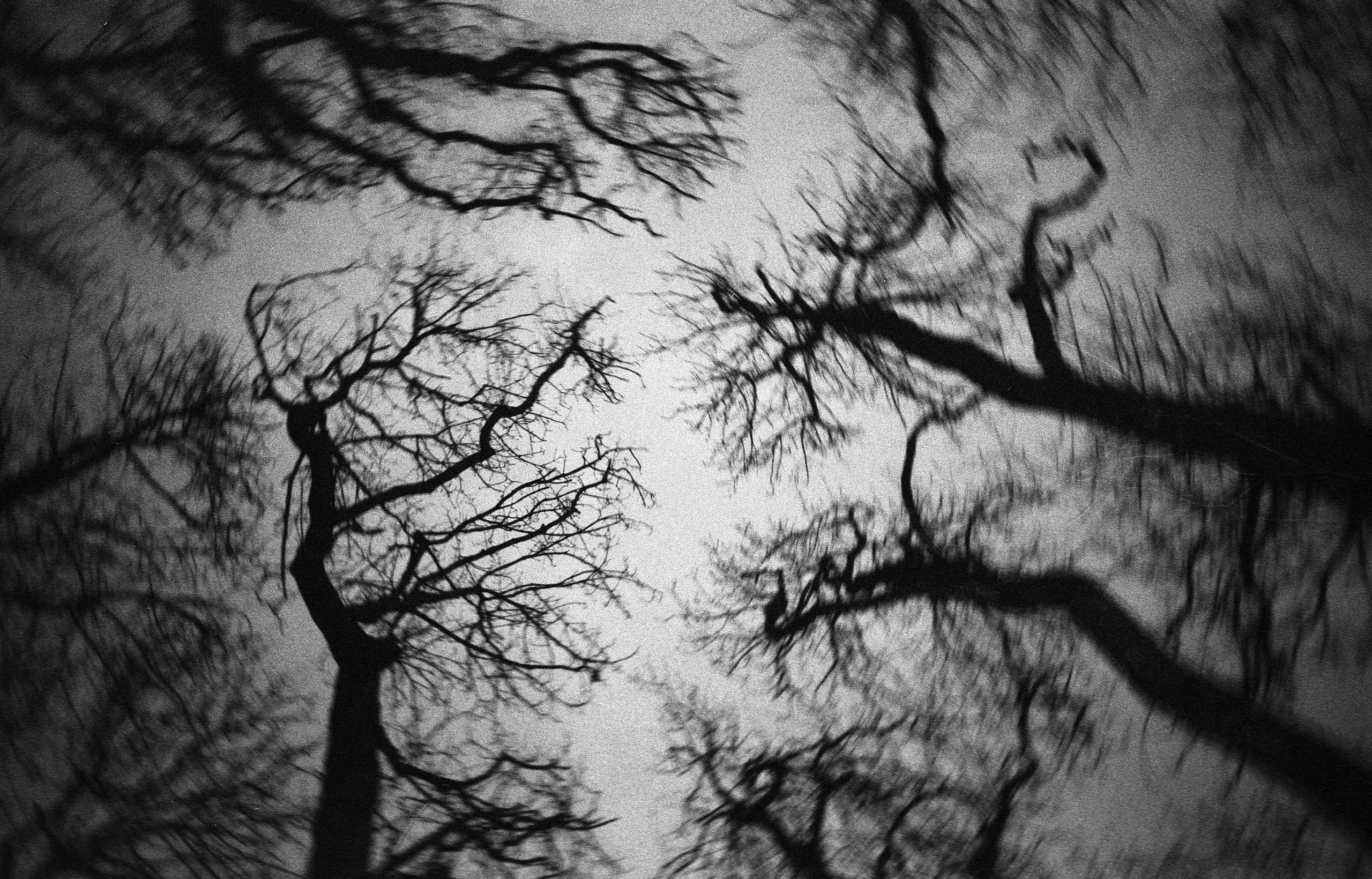 Experimental photos. GLISH ART — Timofey Glinin & Anastasia Shubina