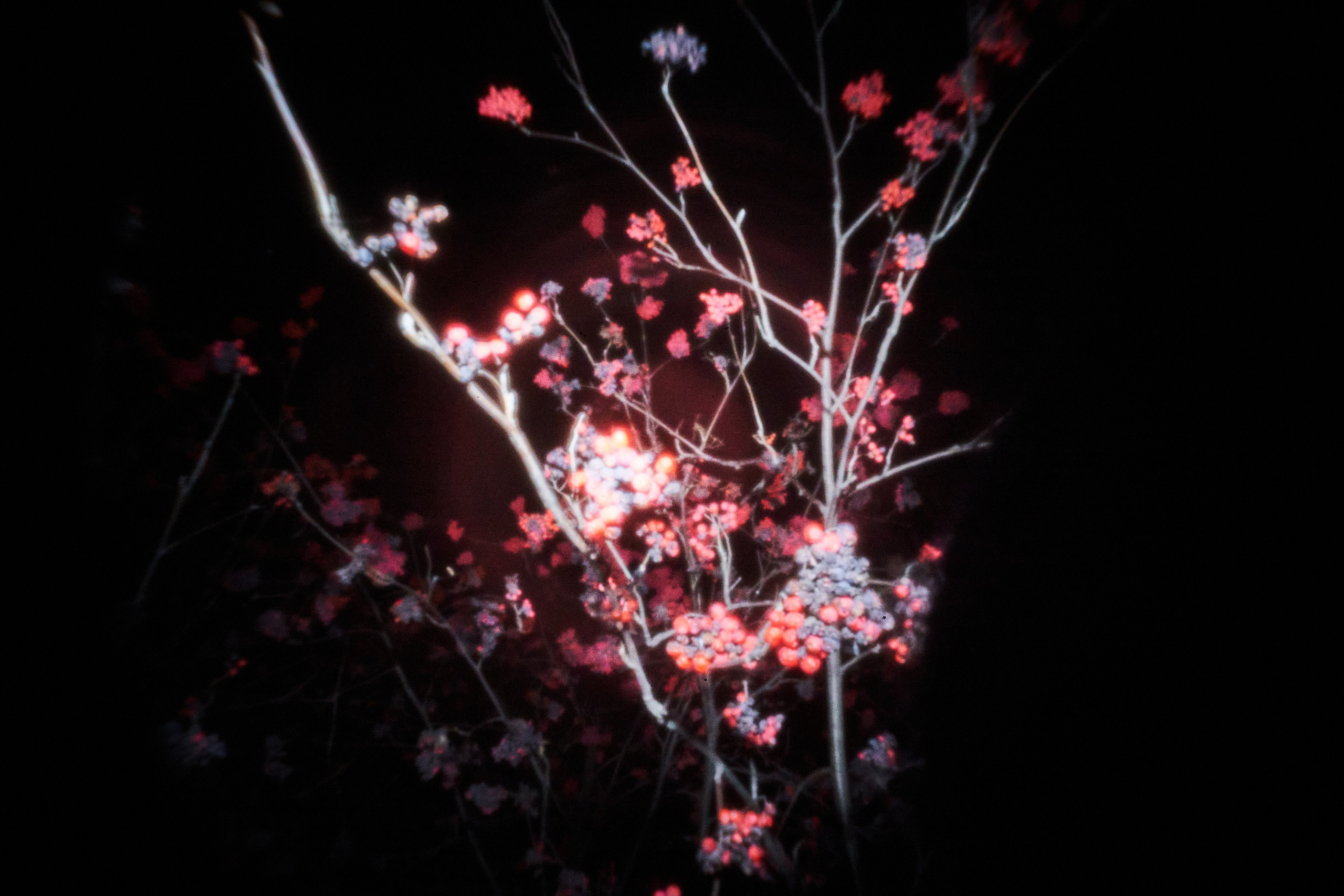 Experimental photos. GLISH ART — Timofey Glinin & Anastasia Shubina