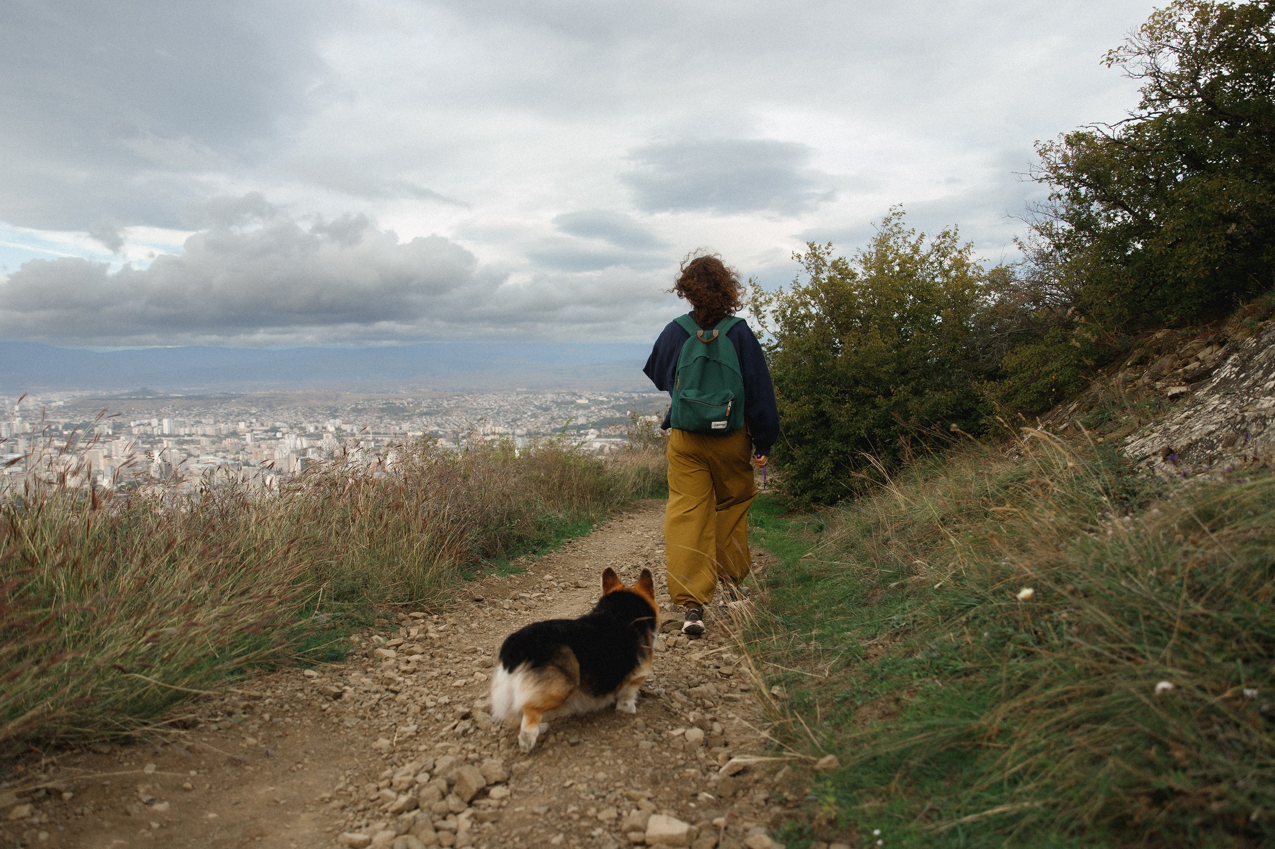 Sasha & Leonid. Kaja | fotograf psów we Wrocławiu
