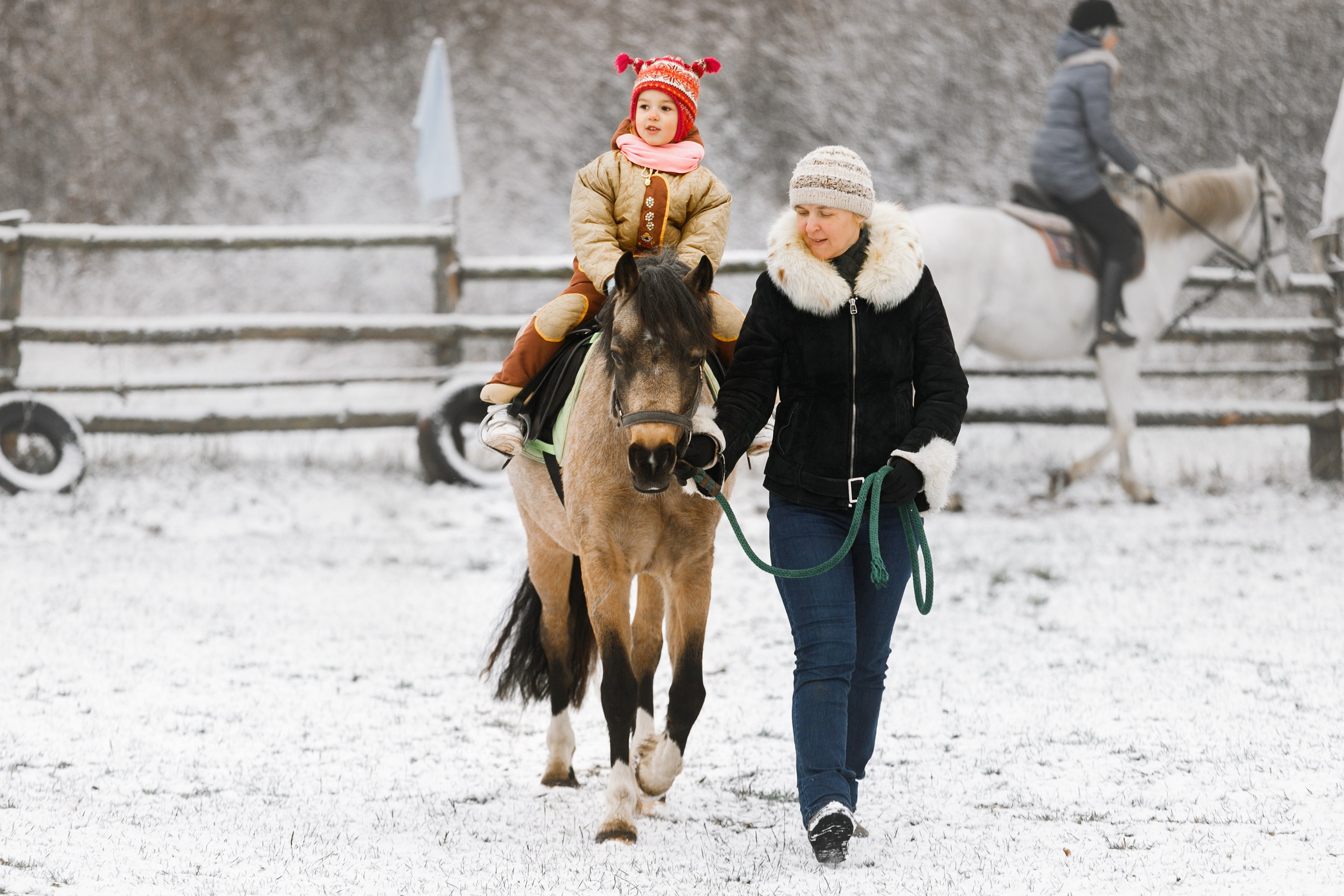 Winter stable. Kaja | fotograf psów we Wrocławiu