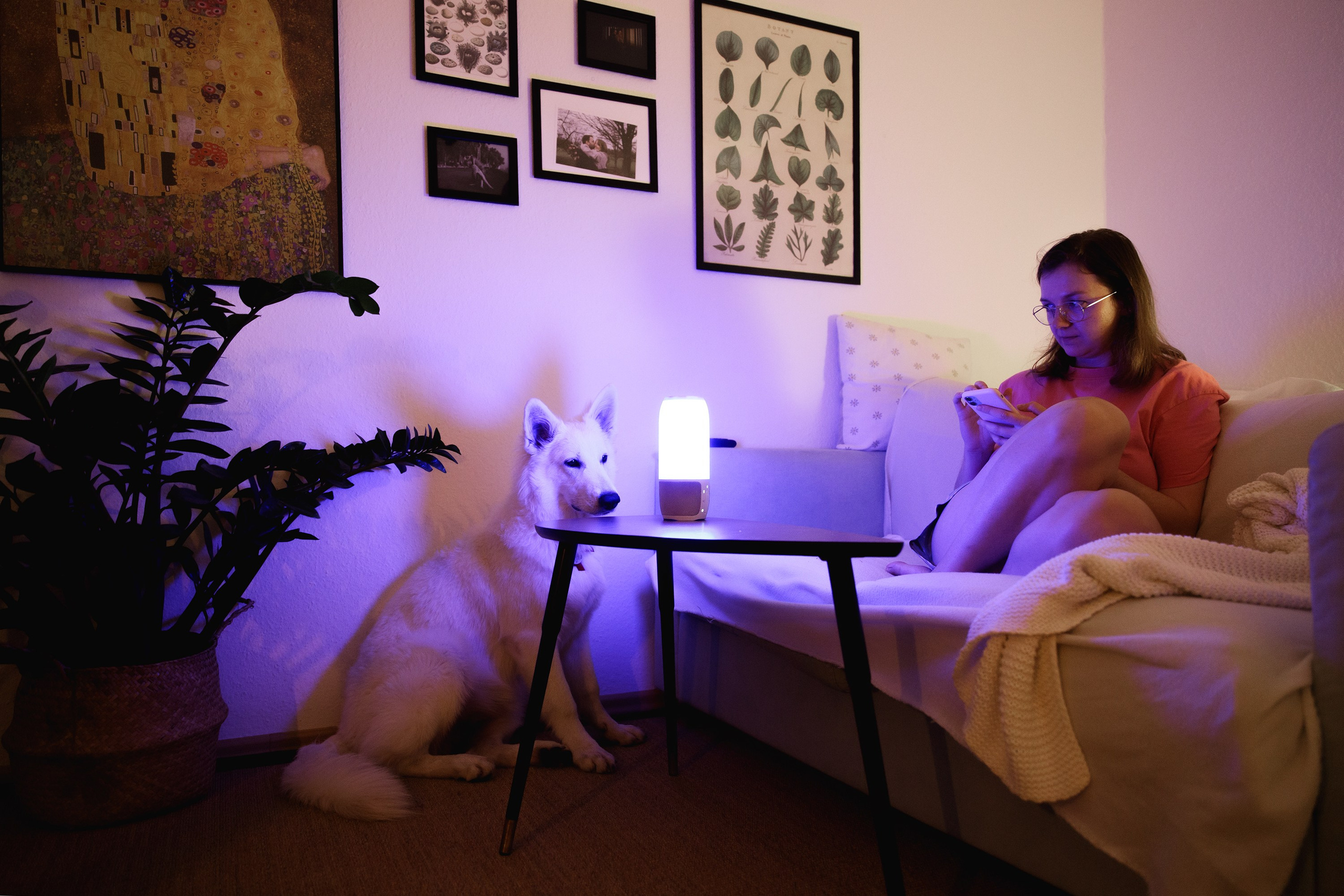 Astra in Leipzig. Kaja | fotograf we Wrocławiu | ludzie i psy