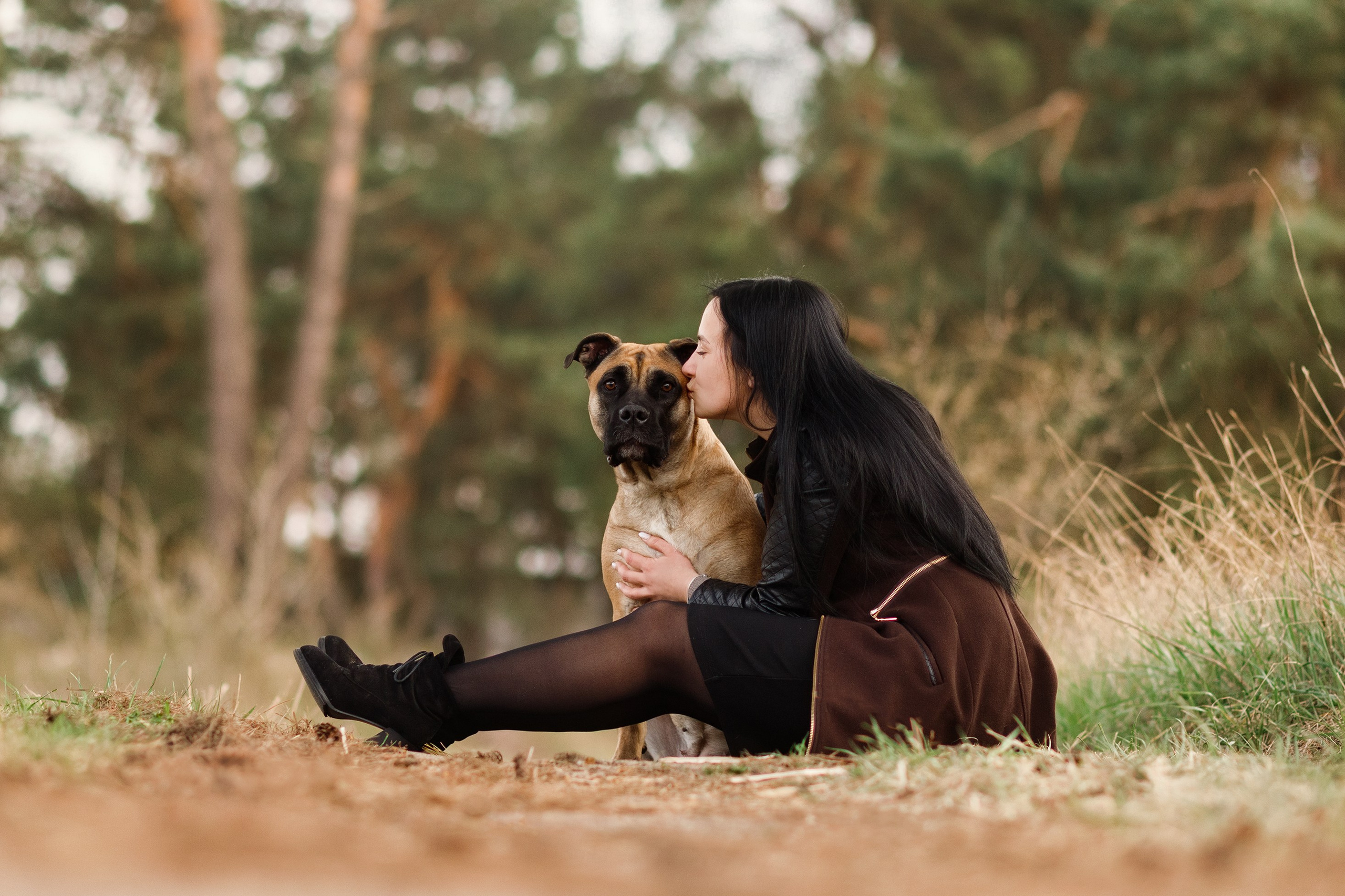 Spring ca de bou. Kaja | fotograf psów we Wrocławiu