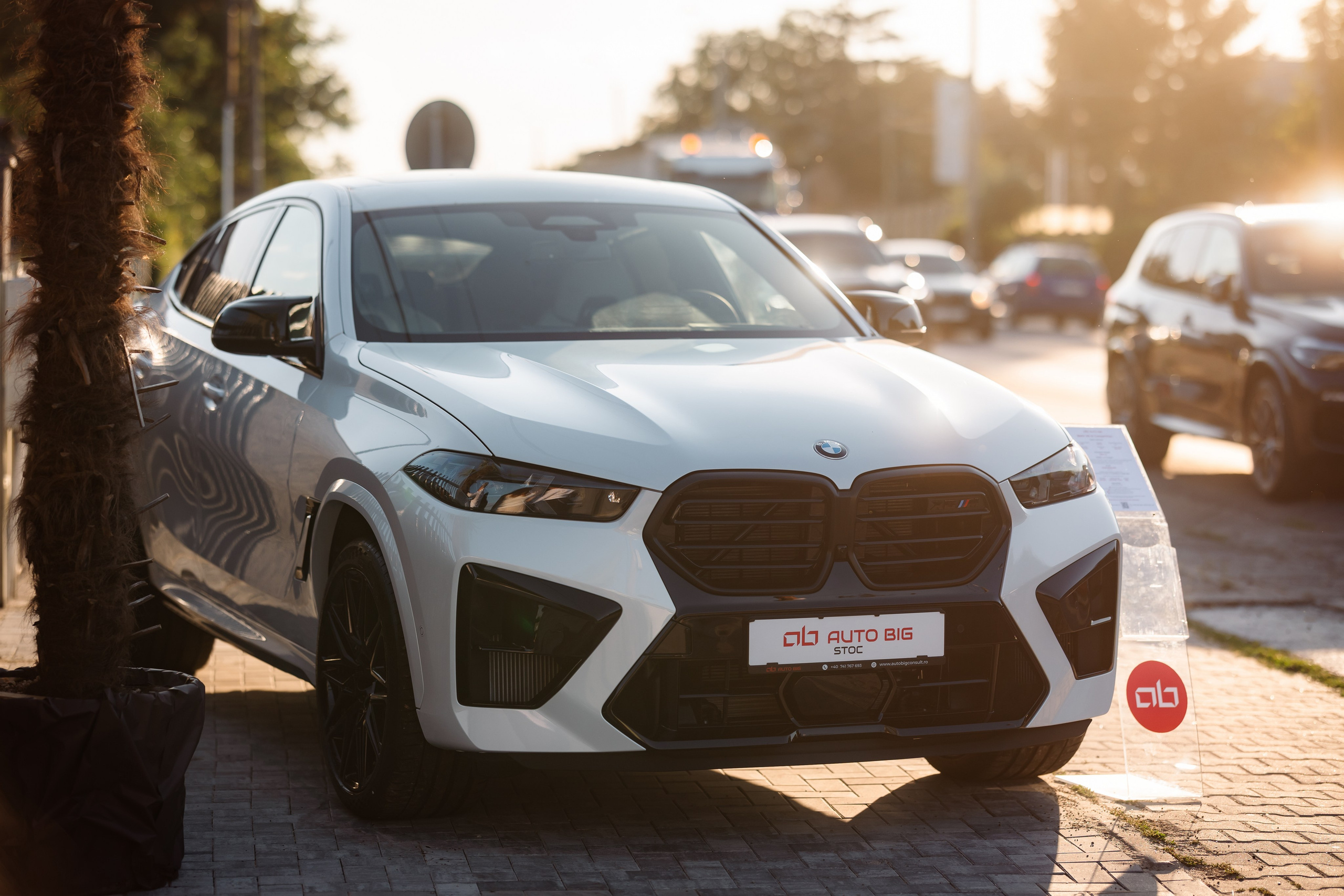 Auto Big. Marius Ciocan