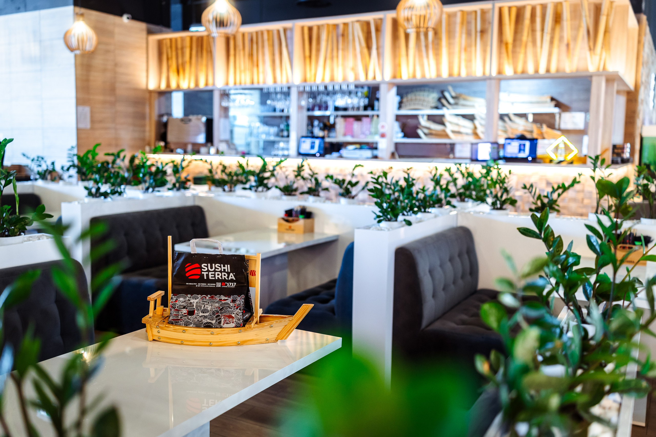Sushi Terra. Marius Ciocan