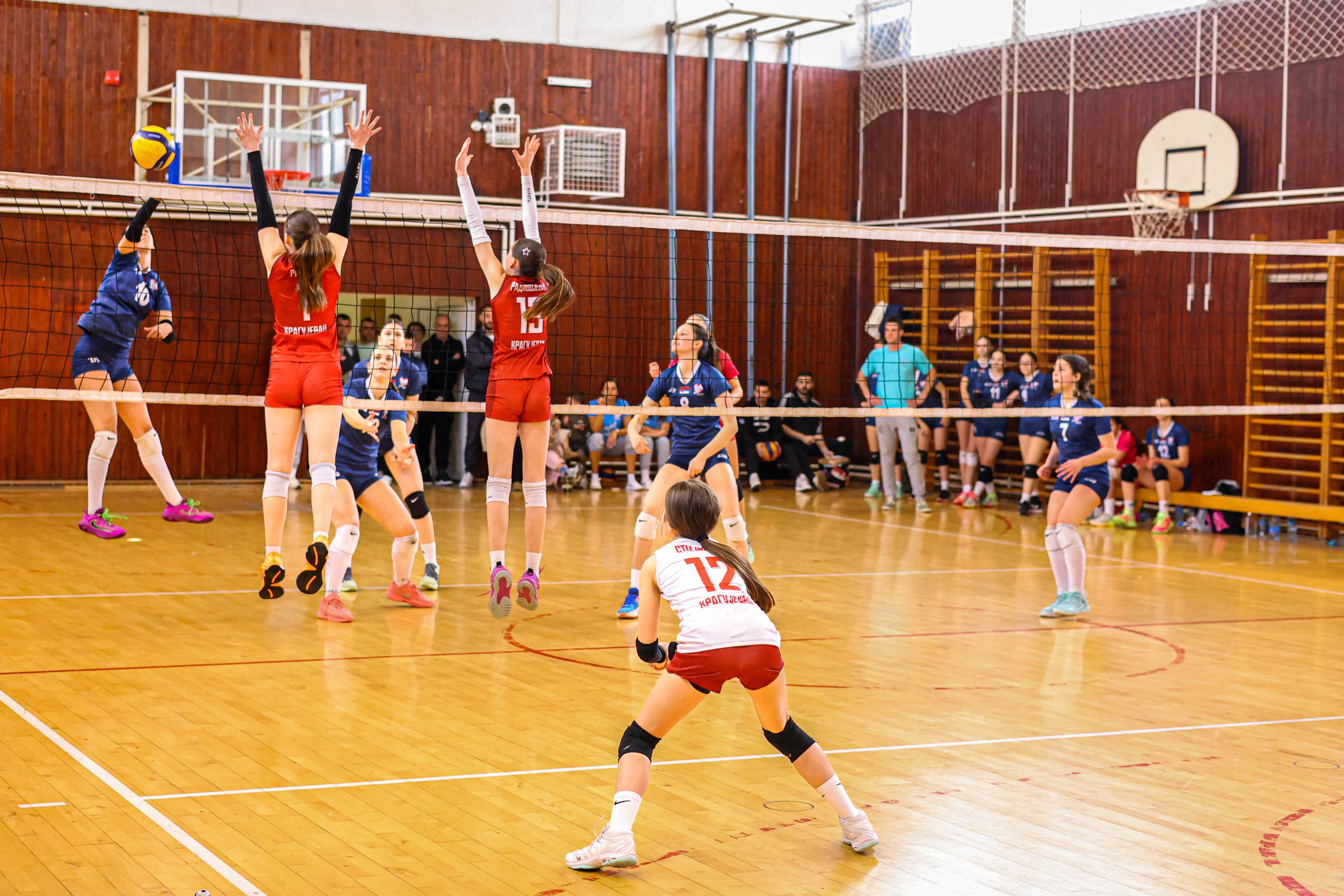 Odbojka 22.03.  Radnicki KG — BlockVolley JAG. Foto Simic Jagodina
