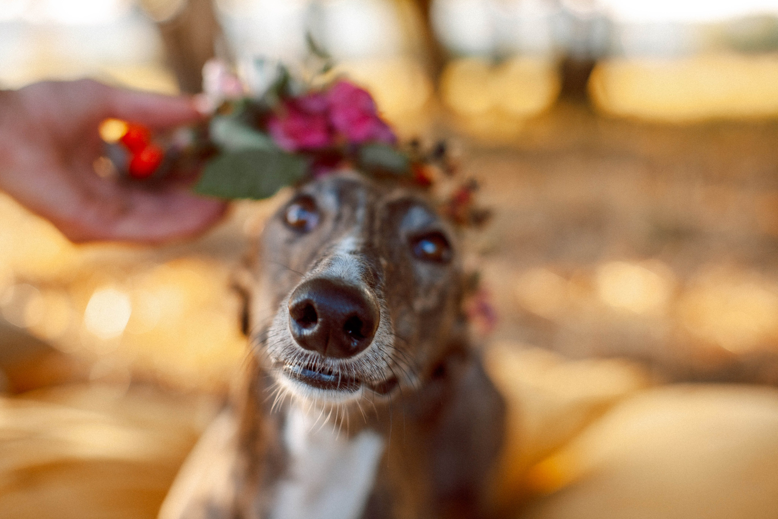 Salome + Ruben. GoldenHourStory