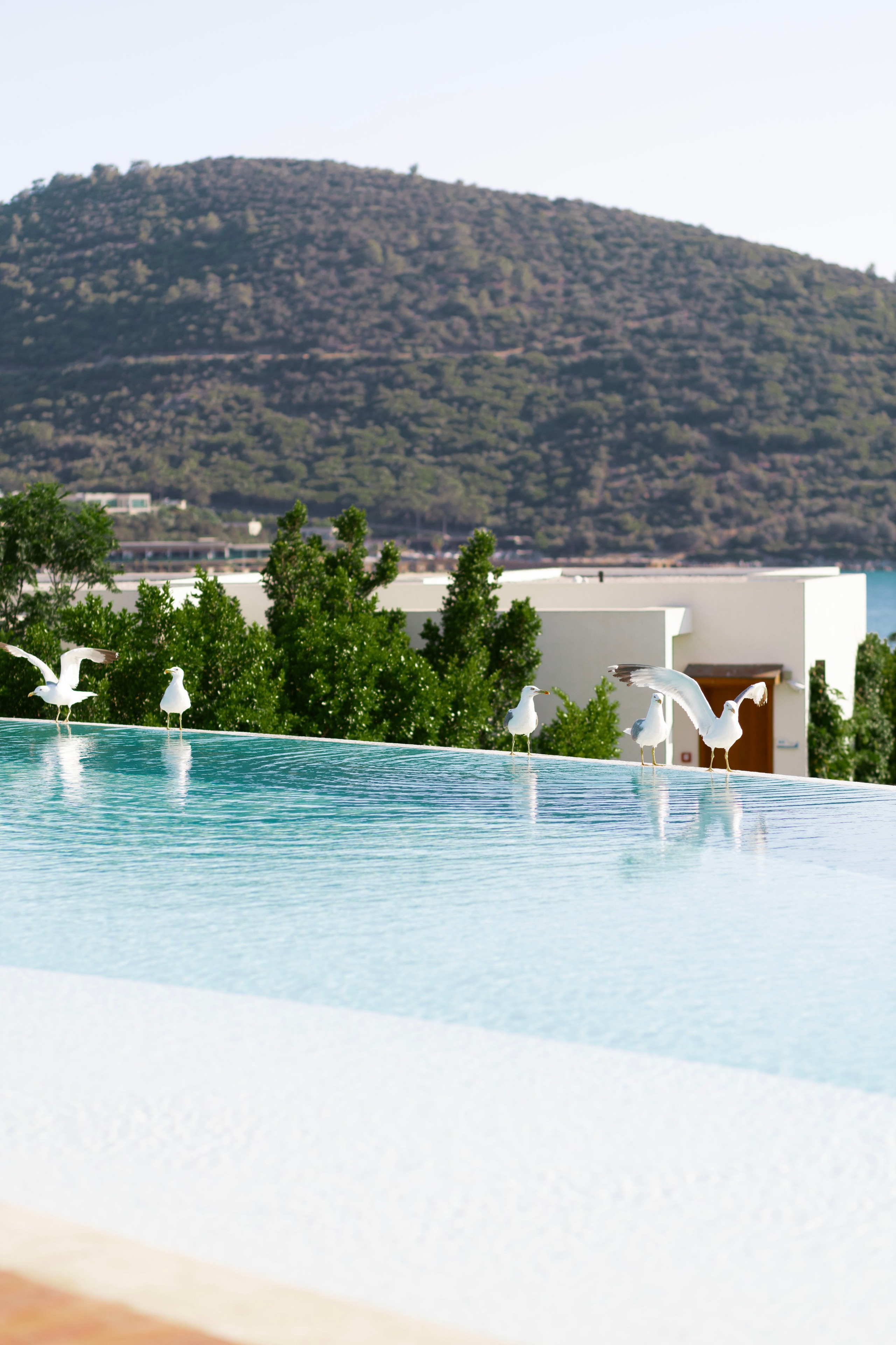 weddingcake, caressebodrum, bodrumbridalmakeup, bodrumbride,  свадьбавбодруме, фотографвбодруме,  свадебныйфотографбодрум, свадебнаяорганизациябодрум, Fethiye, свадебныйбукетбодрум, флористбодрум,  девичниквбодруме, вечеринкивбодруме, distanationwedding, bodrumwedding, elianaplotskayawedding, свадьбавфетхие  marrymeinbodrum, предложениерукиисердцабодрум,  организациясвадьбы, яхтабодрум, вечеринкинаяхтебодрум, bodrumevent, bodrumeventorganization, weddinginbodrum, weddingplannerinbodrum, bodrumplanner , besteventvenueinbodrum 