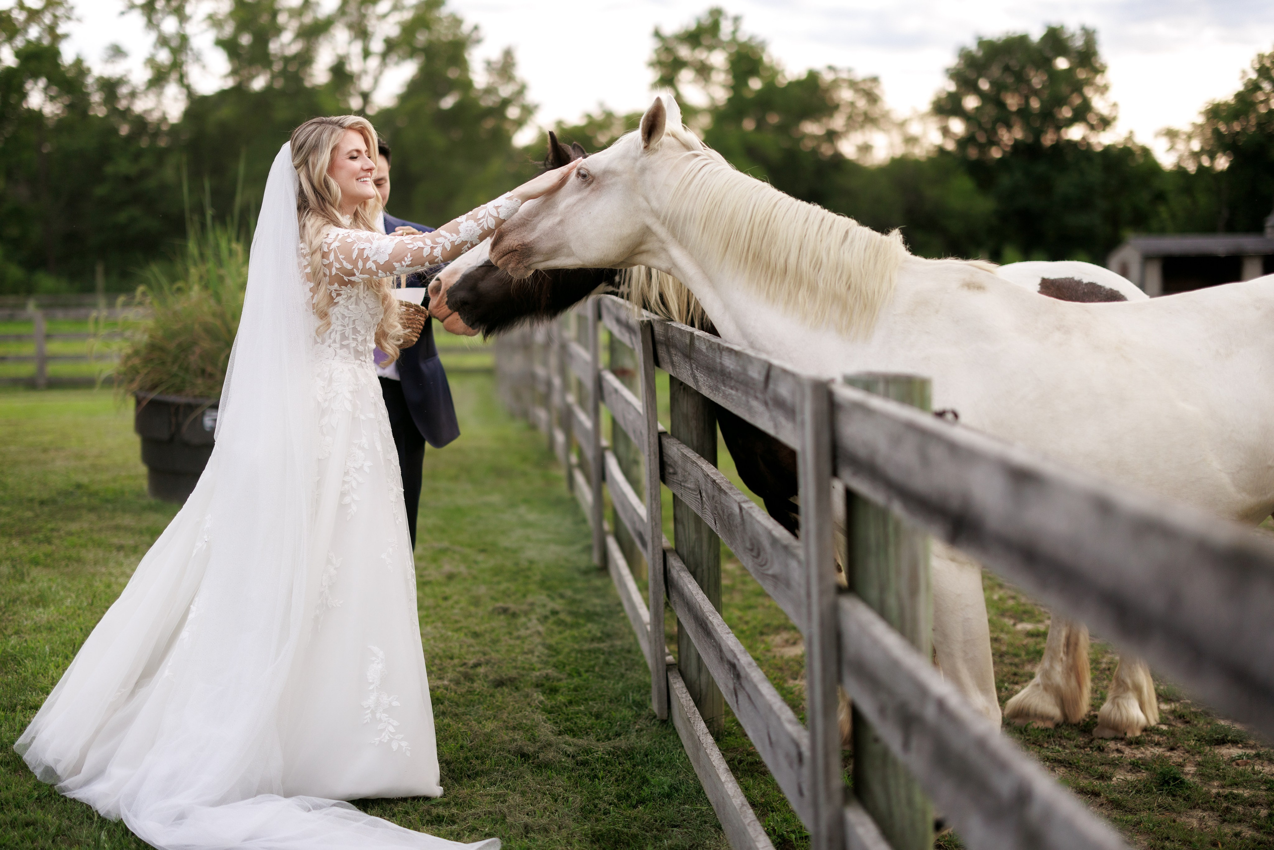 Agata & Eddie. Wedding Photo & Video