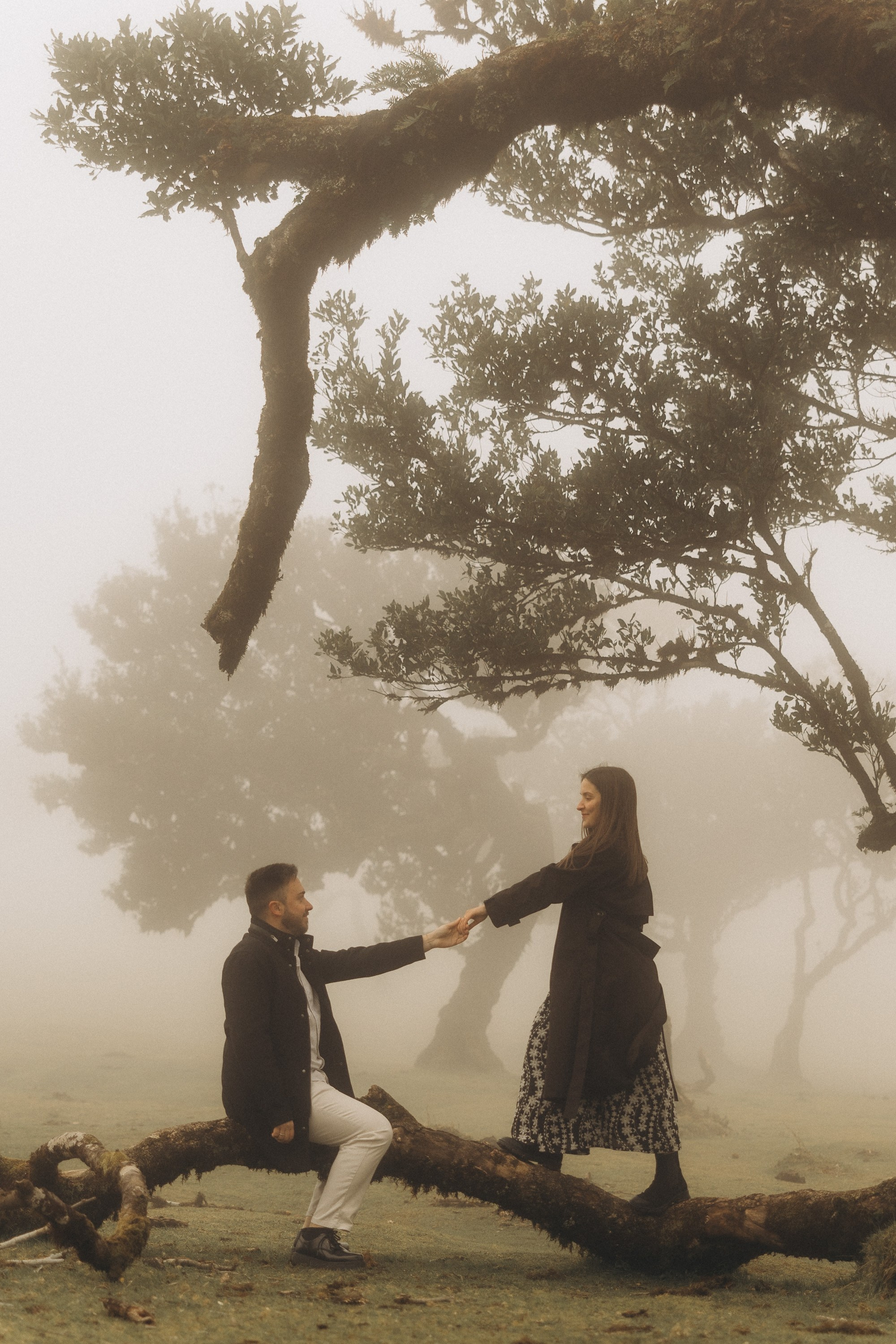 Couple photoshoot in Fanal Forest Madeira PortugalA romantic couple standing amidst the ancient laurel trees of Fanal Forest, Madeira, surrounded by a mystical fog that adds an ethereal touch to the scene