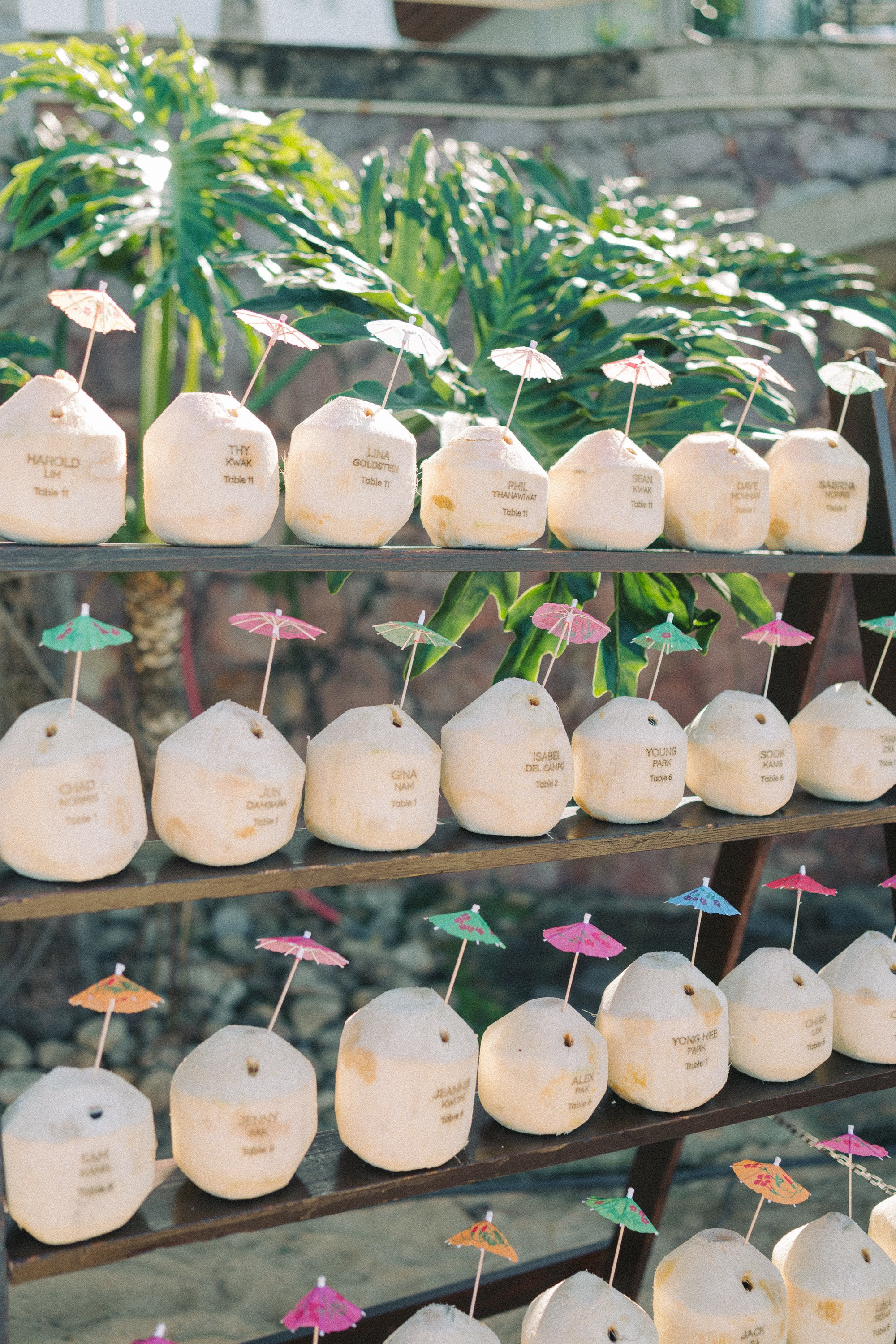 Double wedding. Sayulita Wedding Photographer, Puerto Vallarta, Cabo