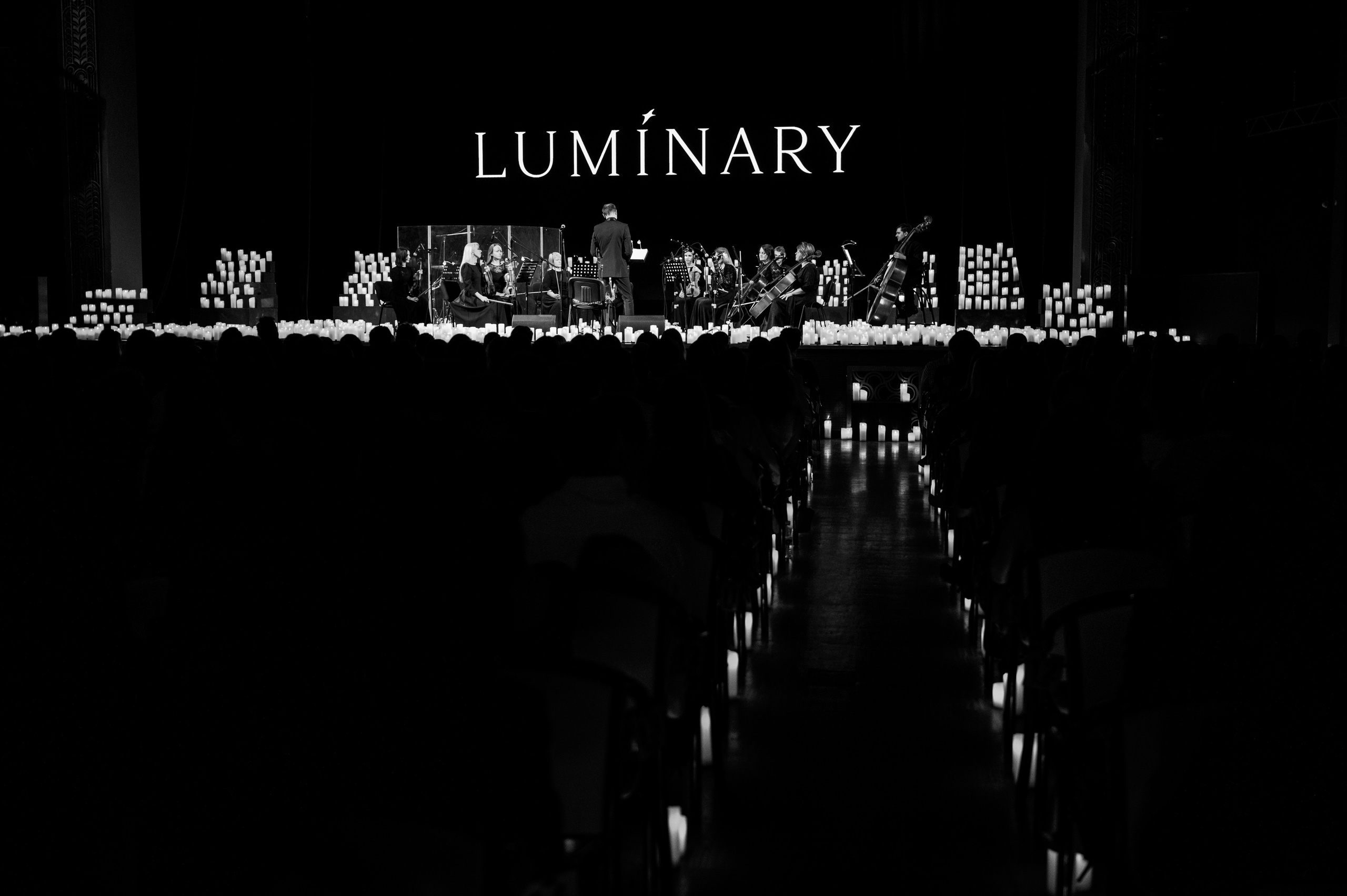 Portrait & Events Photographer in Seattle