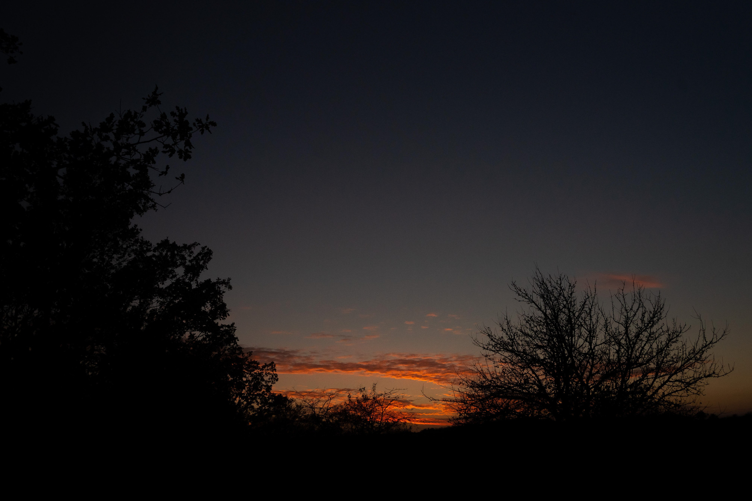Milla & Mihai. Fotograf de nuntă și familie Chisinau Moldova