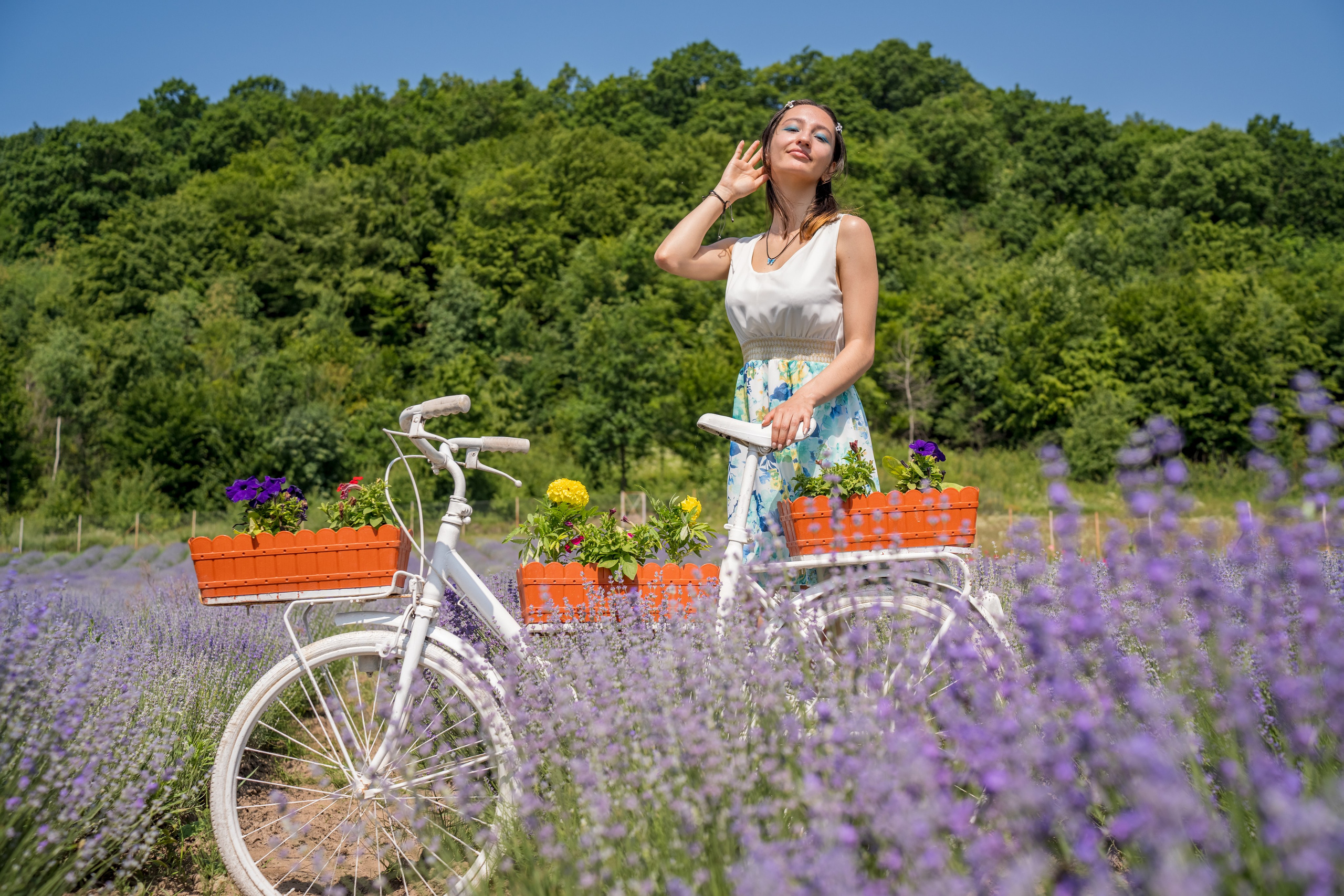 Ședință foto în Lavandă. Mihai Alexandra Events