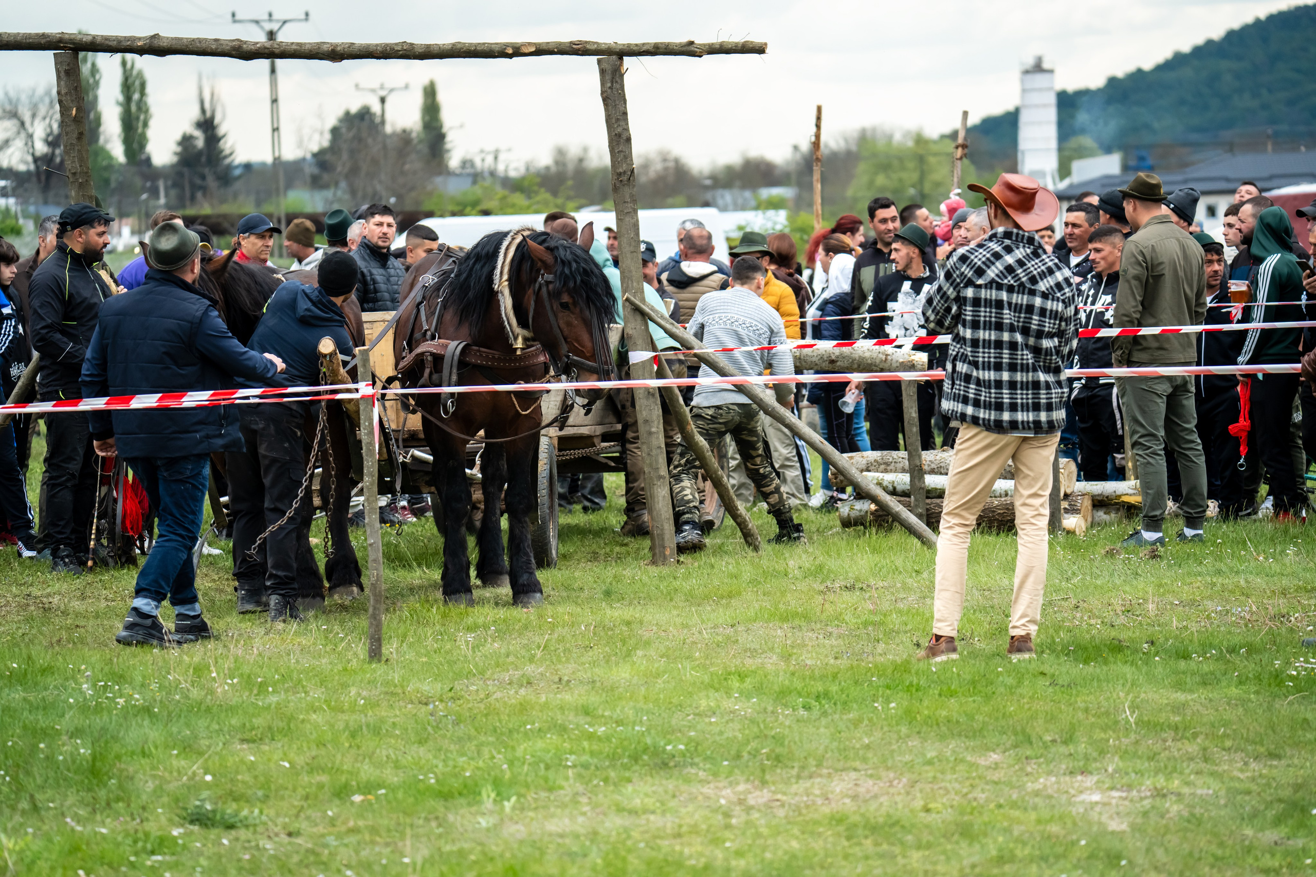 Concurs Ecvestru Vărbilău ediția a 4-a. Mihai Alexandra Events