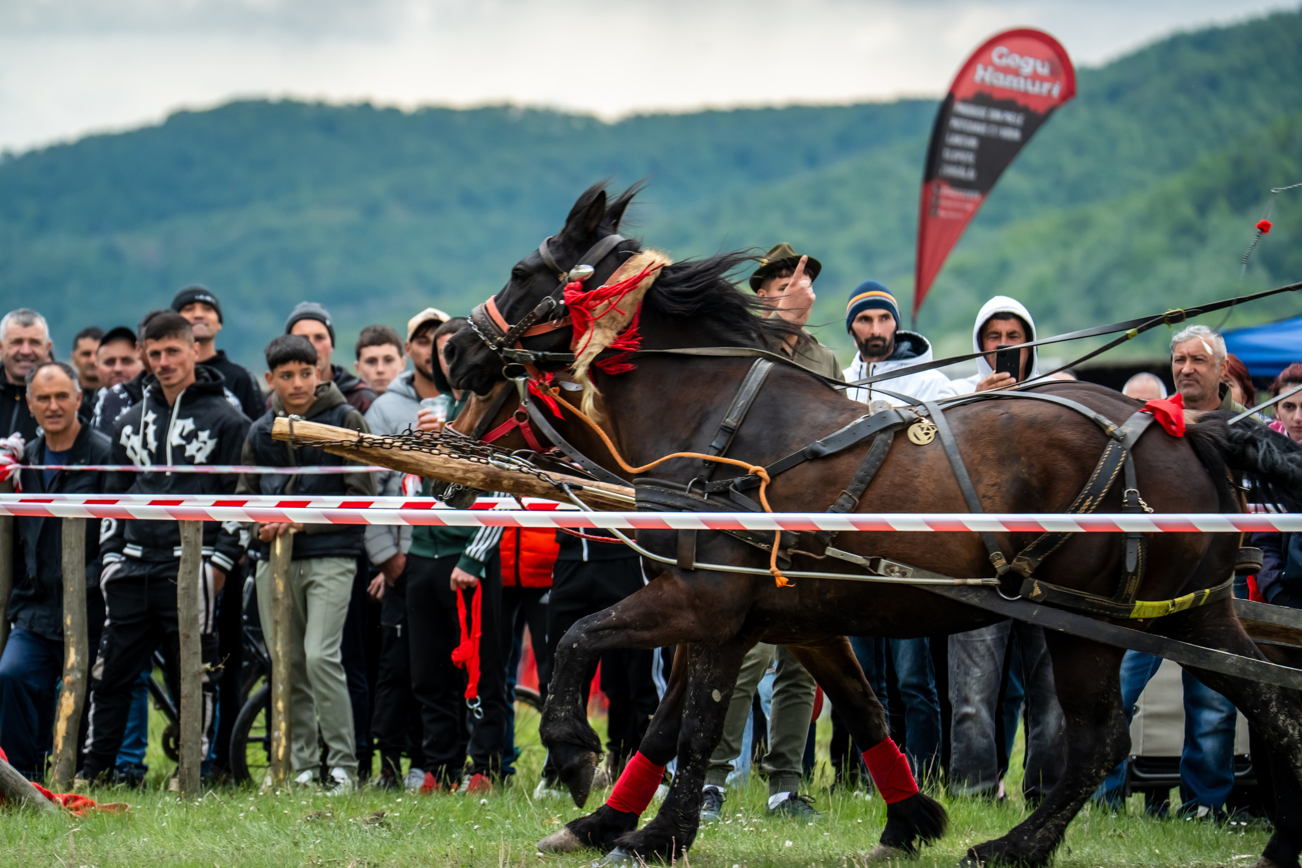Concurs Ecvestru Vărbilău ediția a 4-a. Mihai Alexandra Events