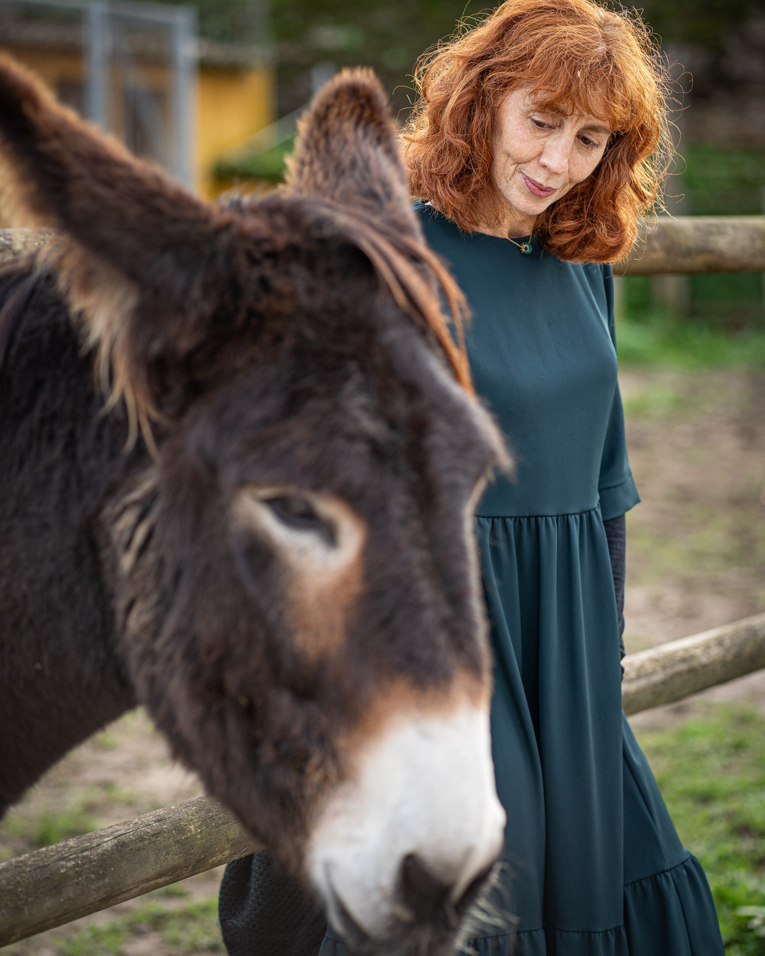 Gatherings. Catarina Calheiros