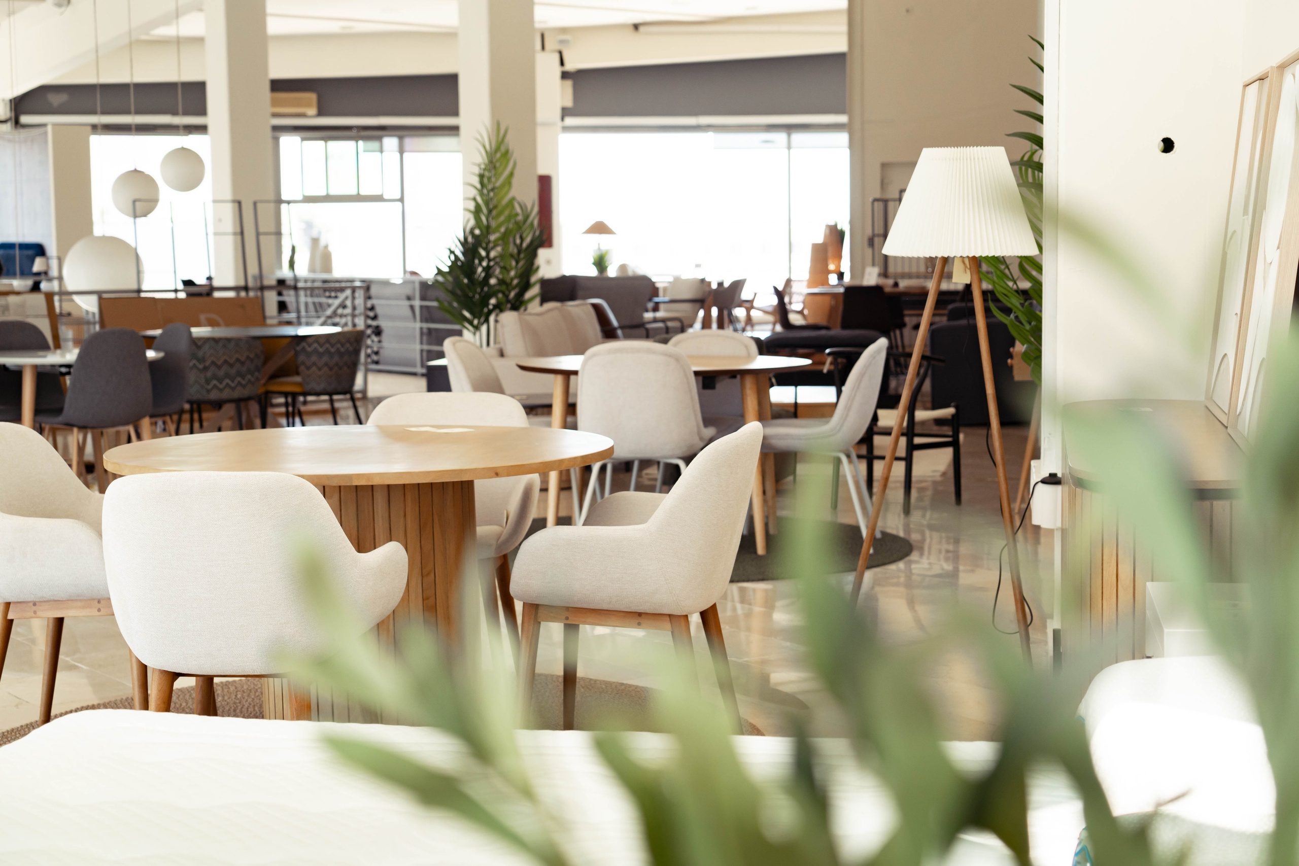 SANMARCO interior design. Baby Beast