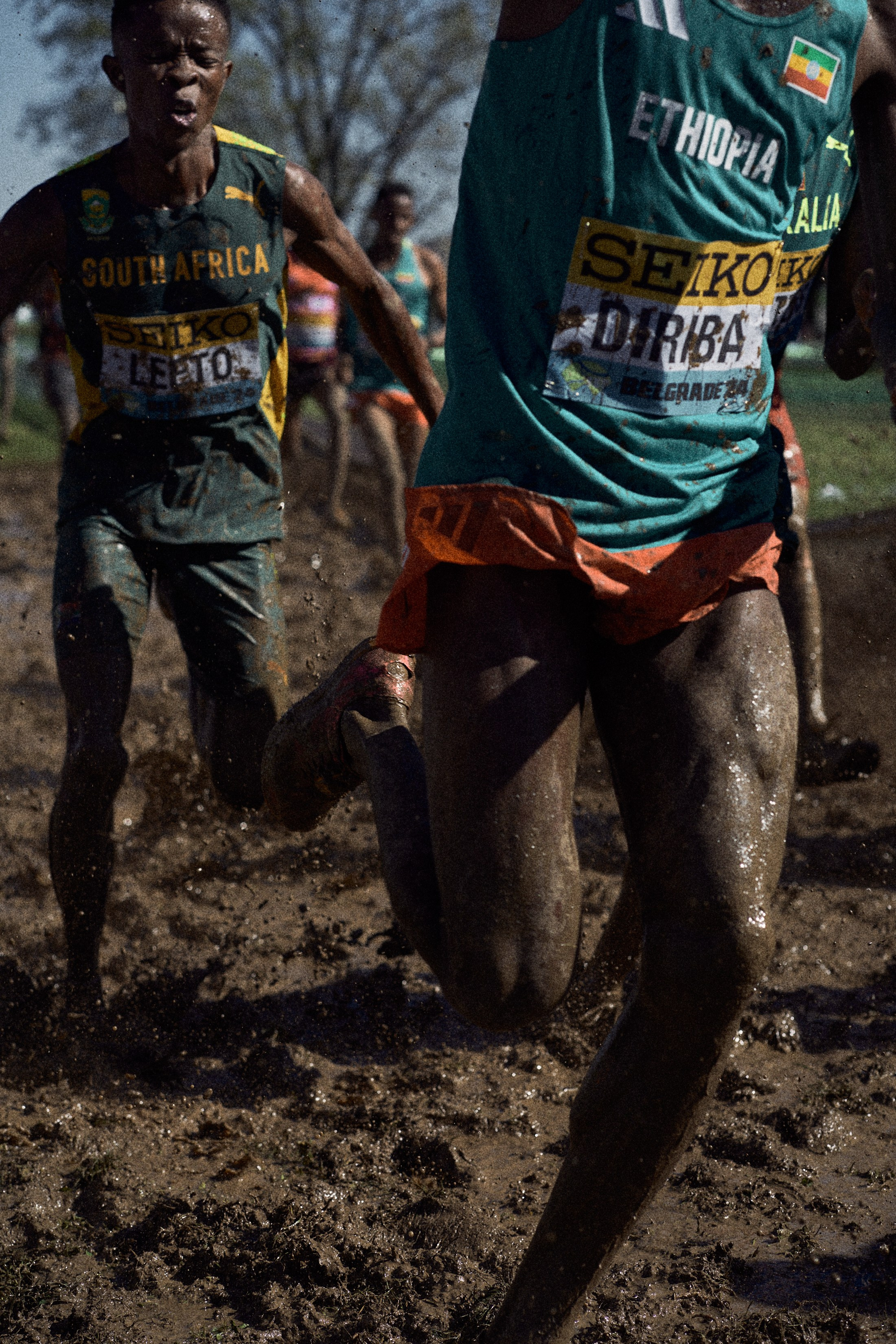 Cross Country Championship 2024 #running. Photographer Evgeniya Dovgalyuk