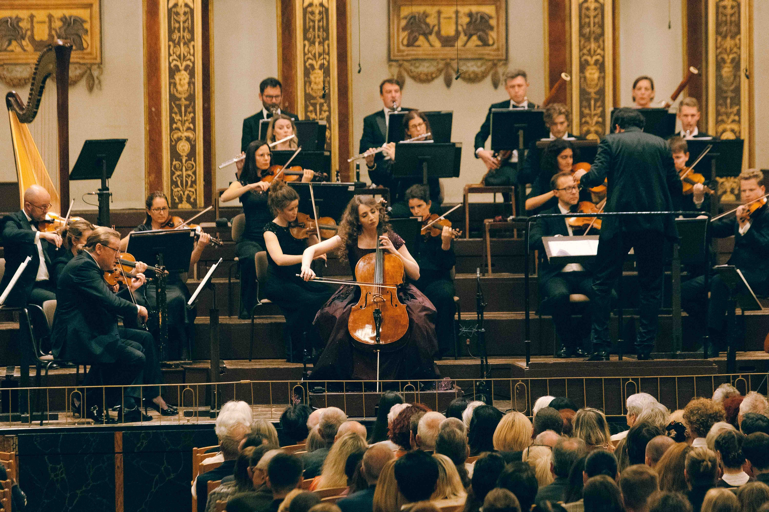 MUSIKVEREIN (VIENNA). Wedding&Event photographer Ismail Rzayev in Baku