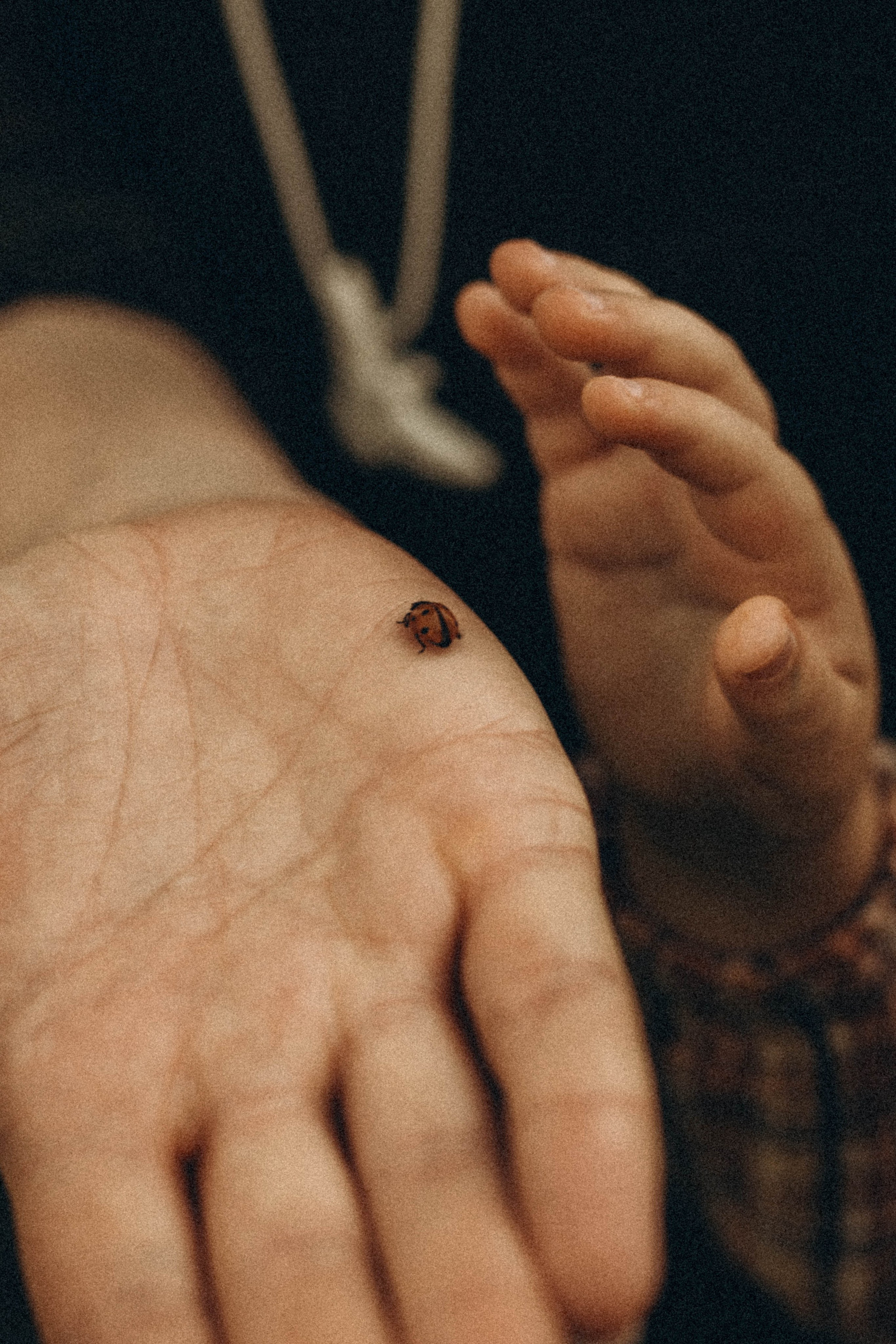 V+Kids. Anna Leb Photo