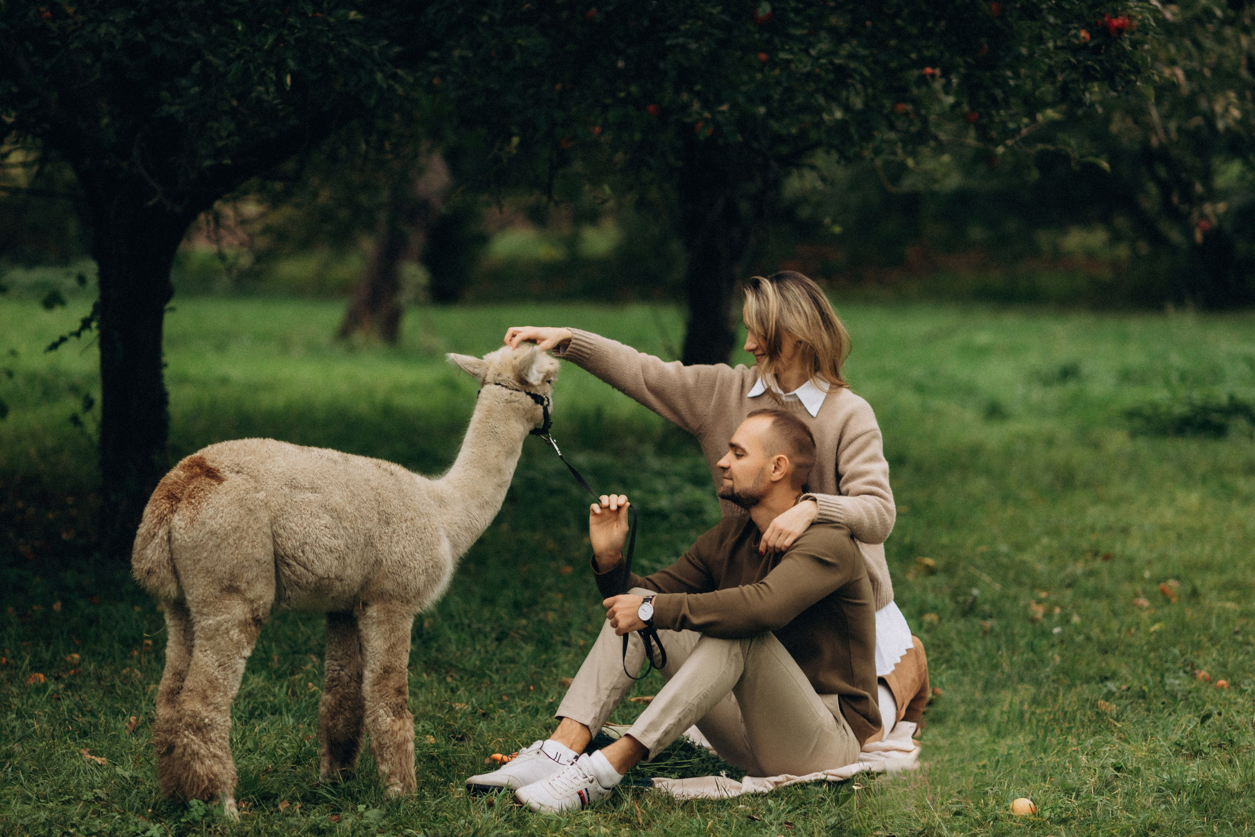 Семейная фотосессия с альпаками. Семейный фотограф Лейпциг, Германия