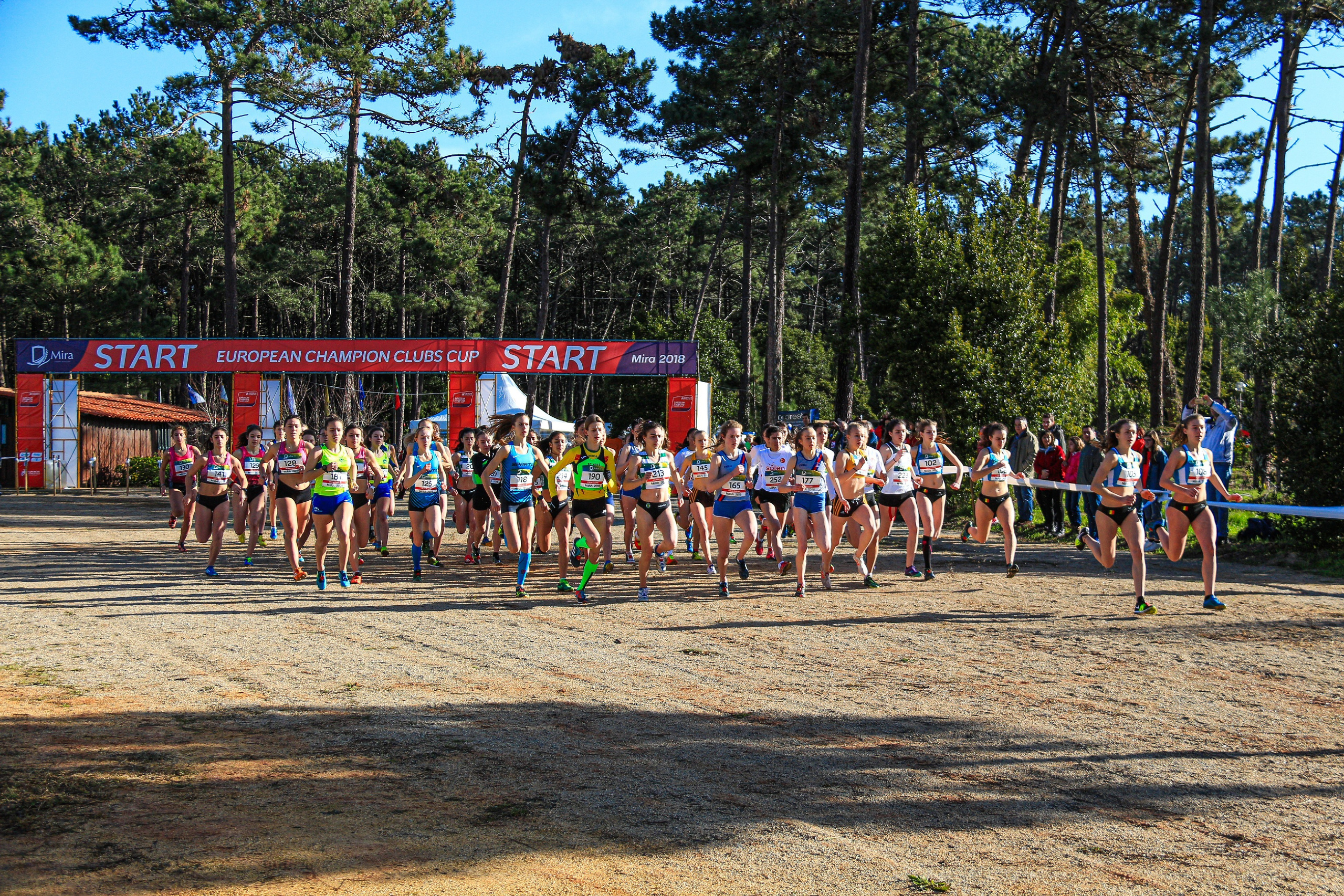 Start gate at the Cross country european clubs cup 
