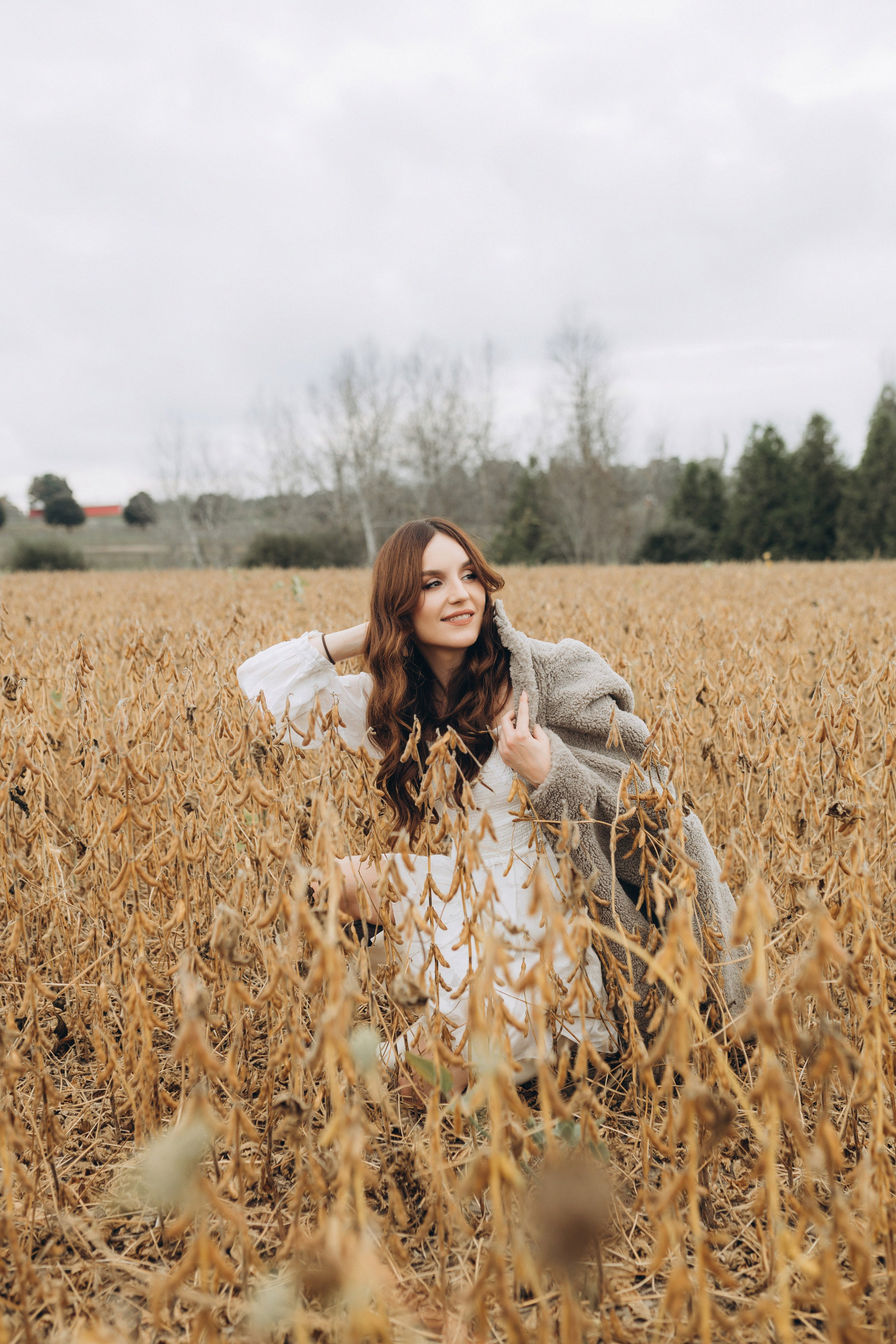 Alpacas Farm. Chernenko.photography