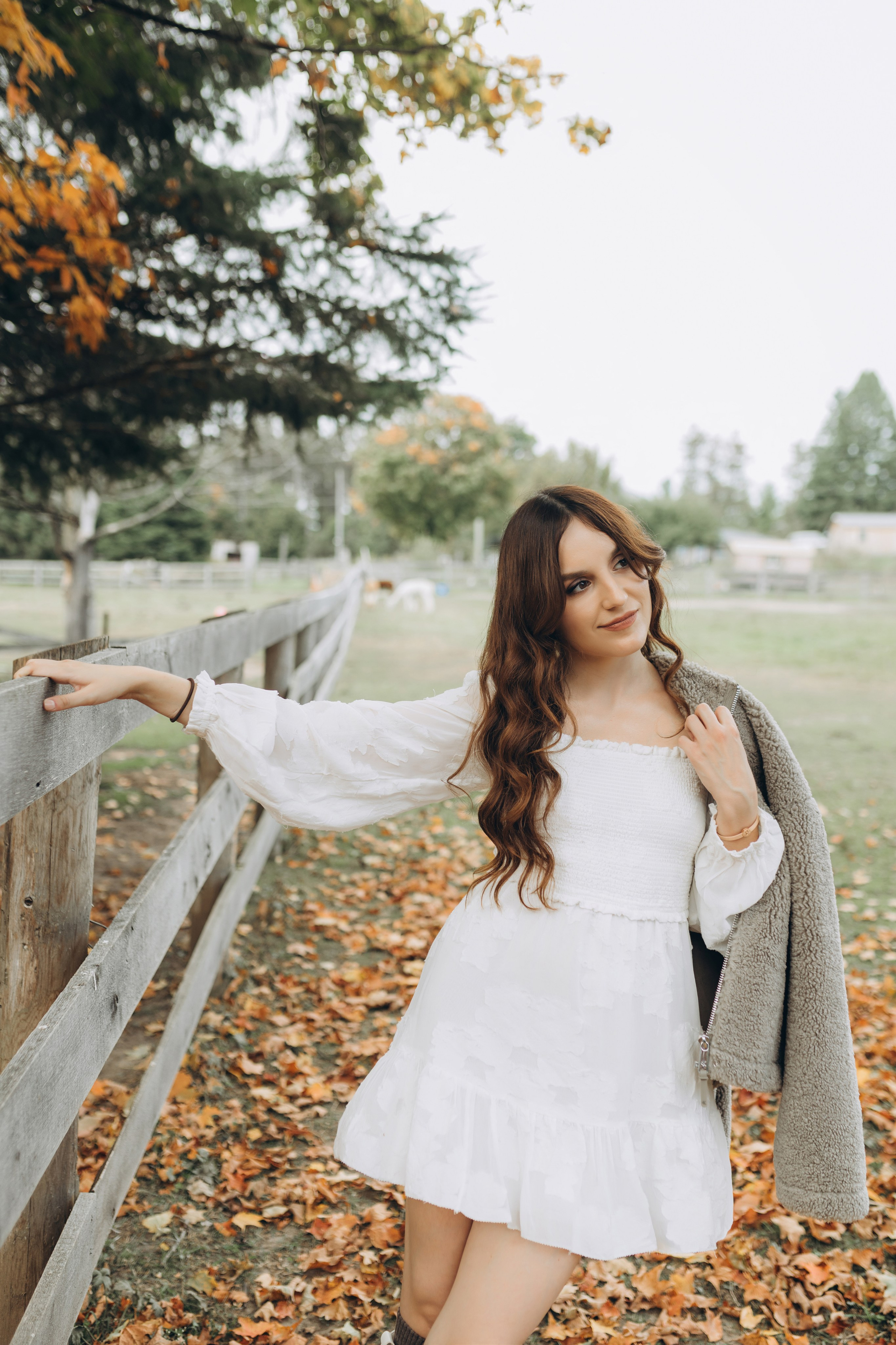 Alpacas Farm. Chernenko.photography