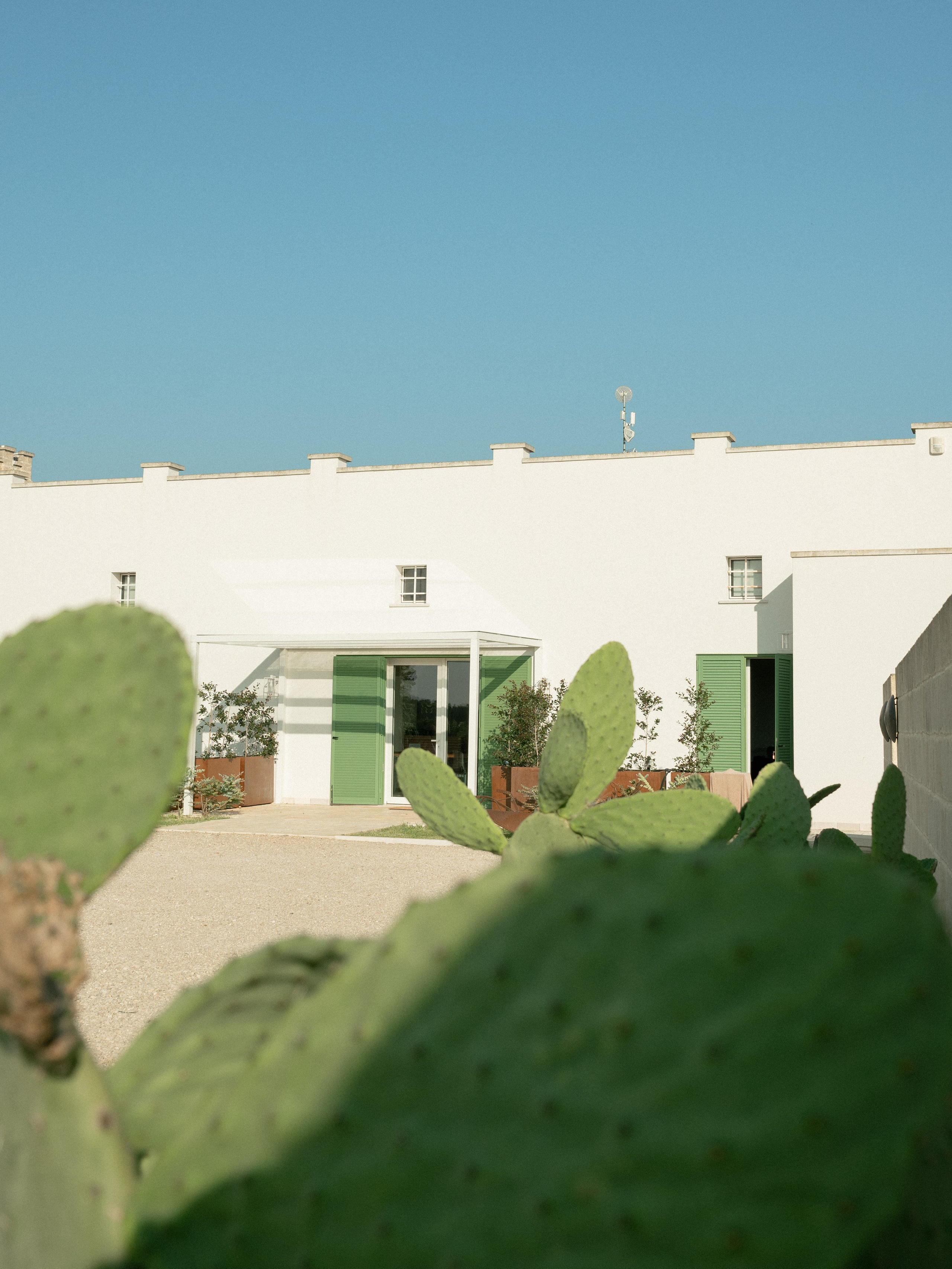 Content | Food | Objects. Alyona Nikolaeva — fotografo a Lecce