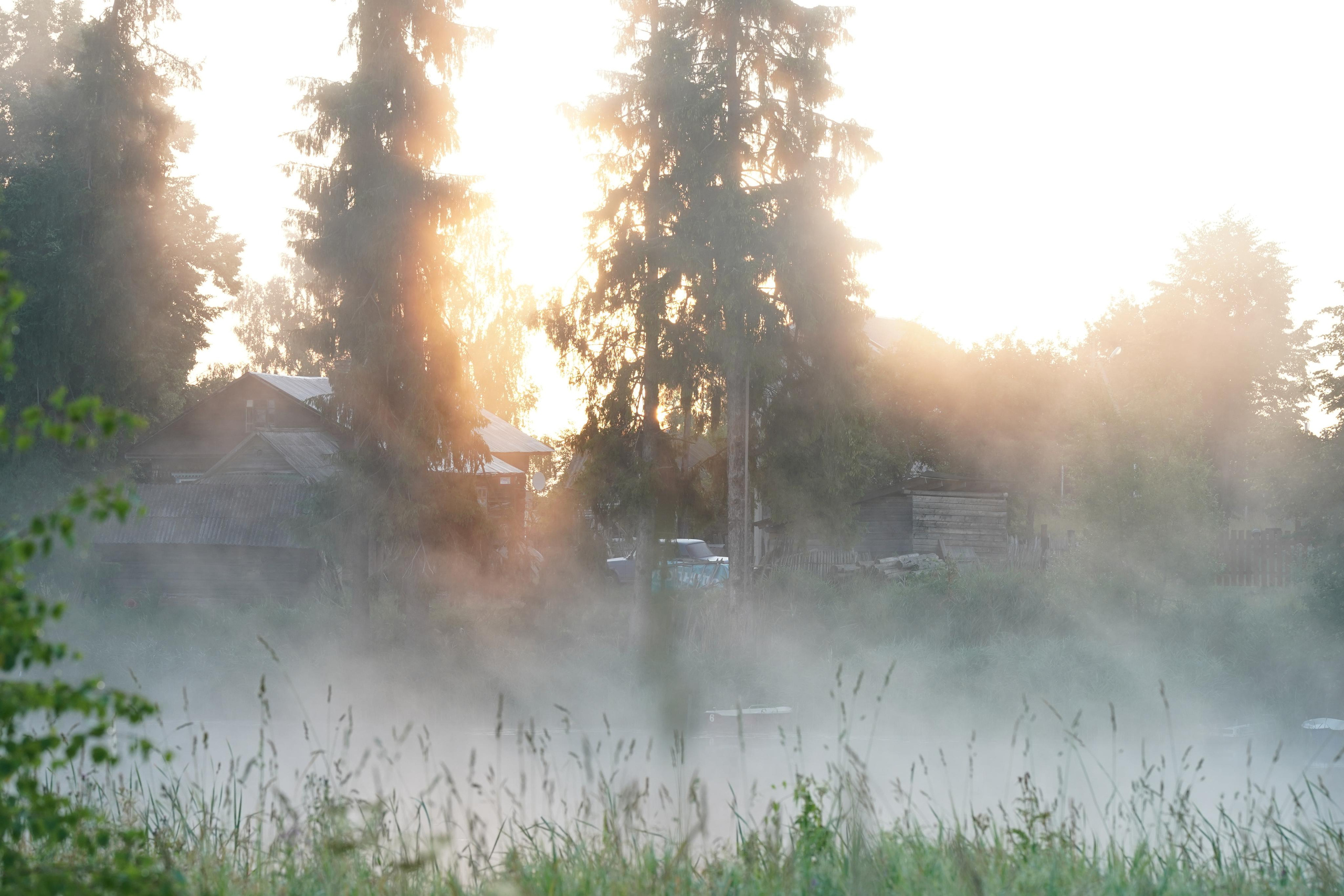 Sunrise.Ivan-chai. Tatiana Smirnova — Photographer