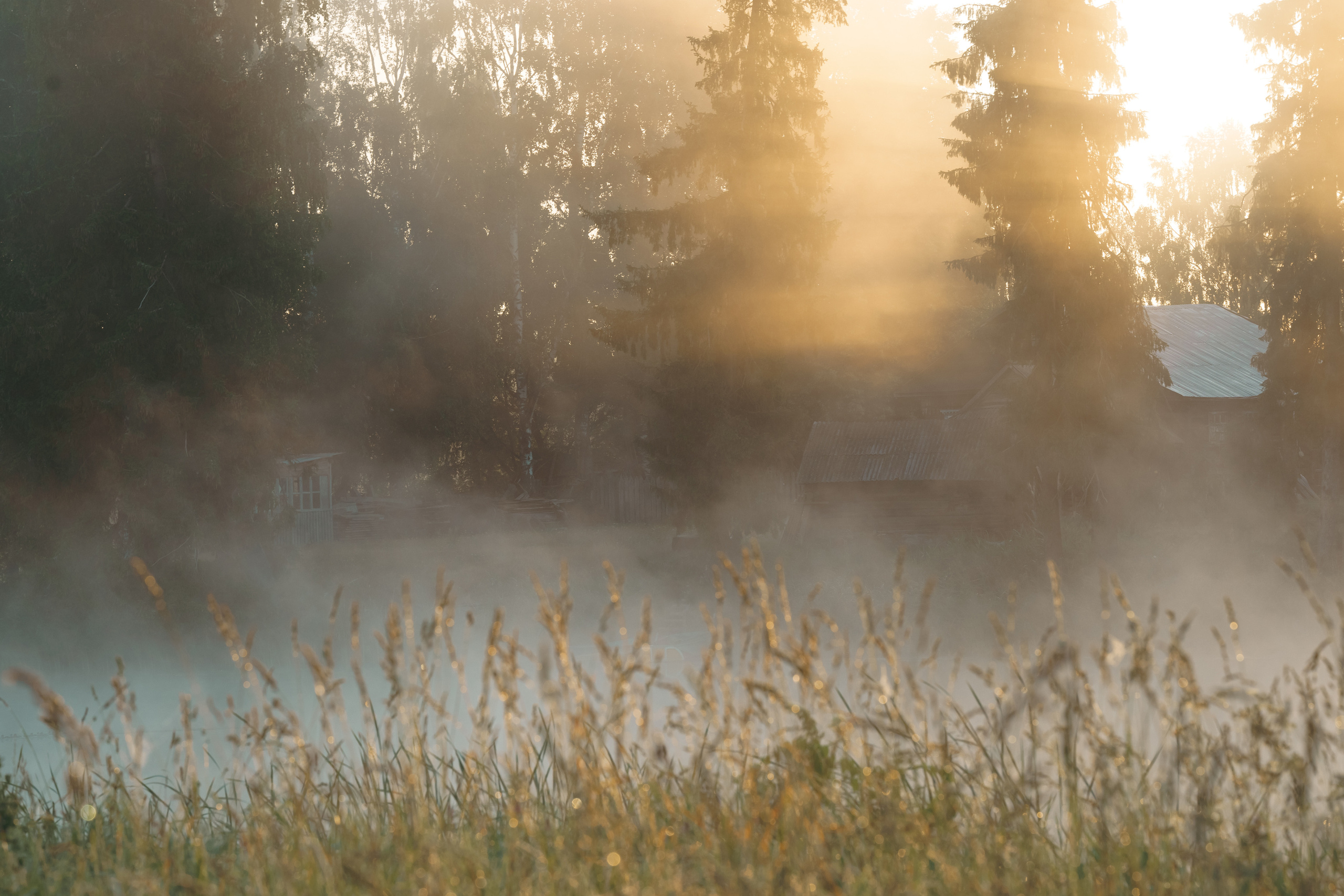 Sunrise.Ivan-chai. Tatiana Smirnova — Photographer