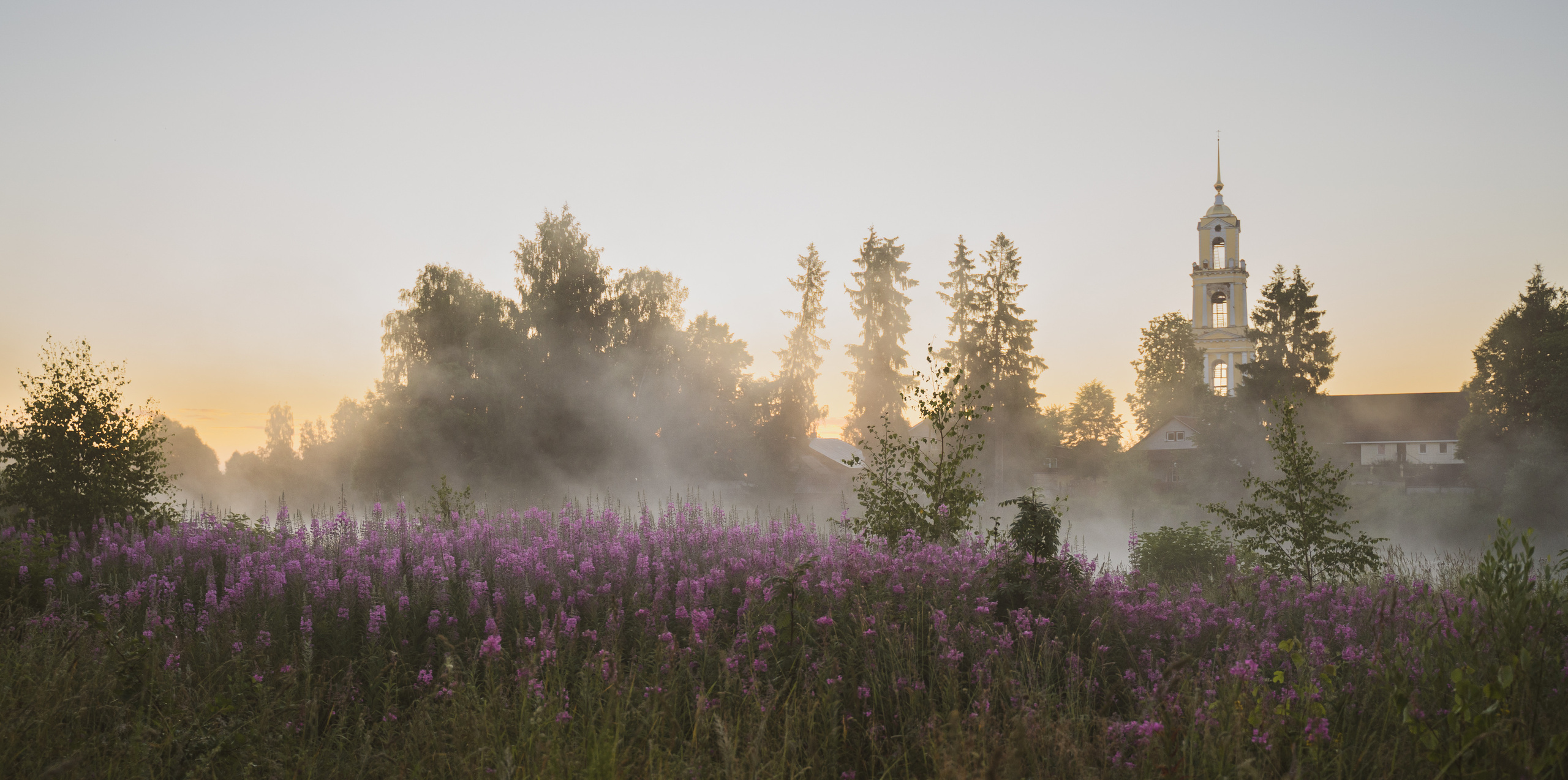 Sunrise.Ivan-chai. Tatiana Smirnova — Photographer