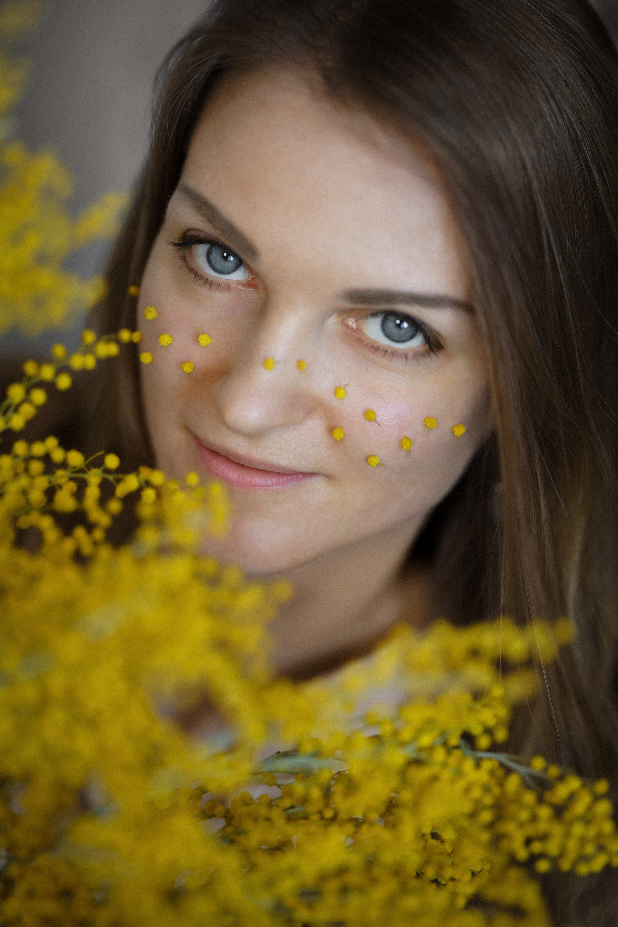 Kate. Mimosa. Tatiana Smirnova — Photographer