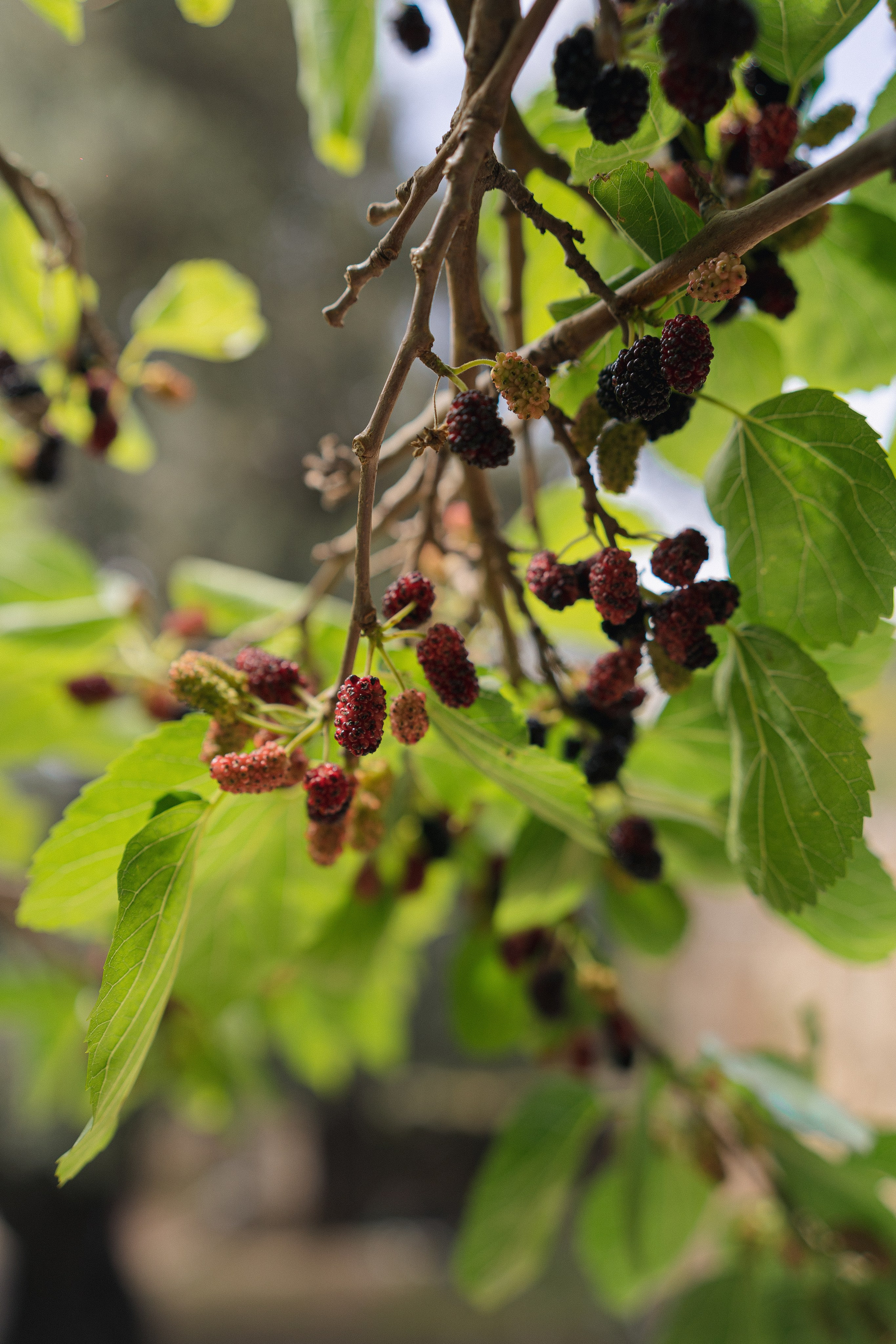 Хайкинг Ликийская тропа. Фотограф Москва Ларина Юлия