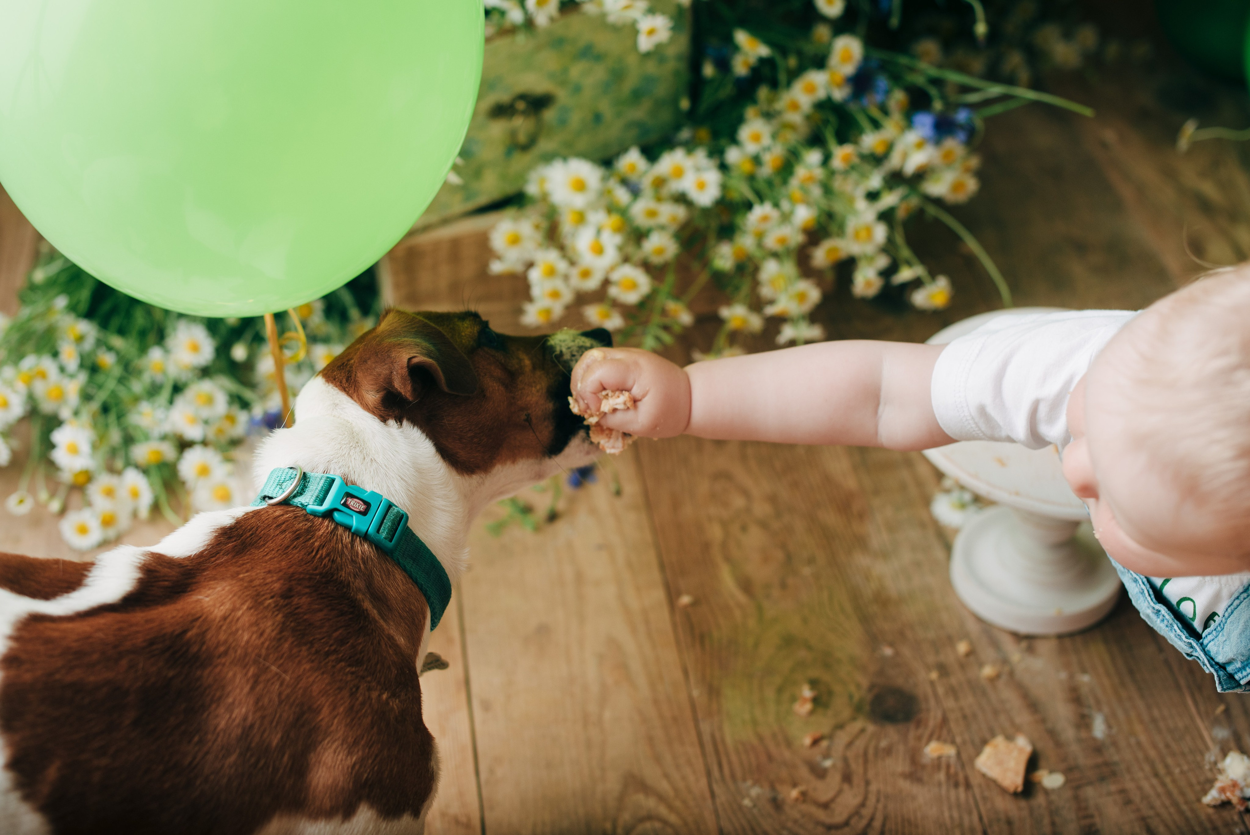 SVYATOSLAV. Https://newbornphoto.wfolio.pro/me