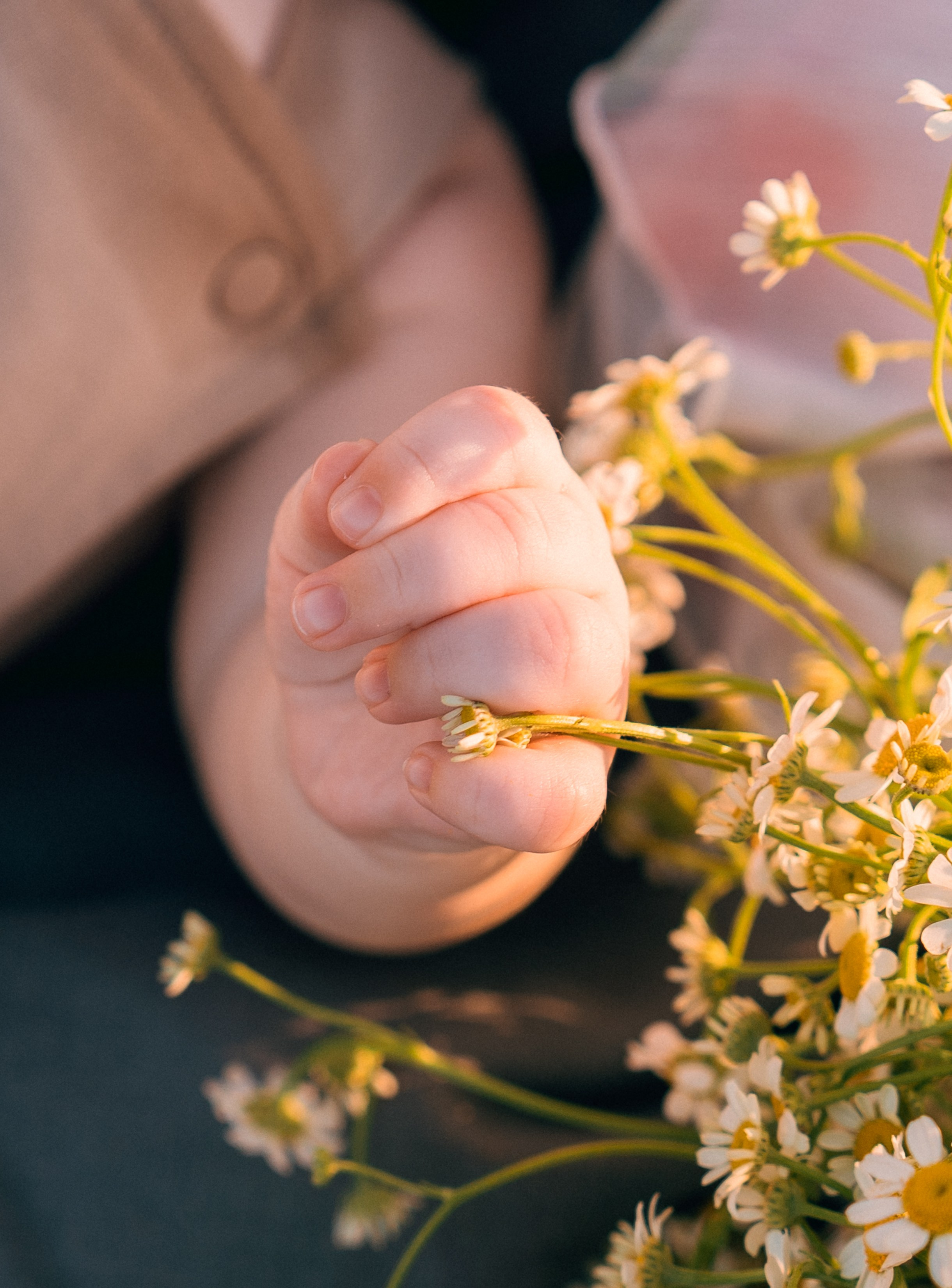 Yulya, Robert&Gordey. Wedding & elopement photographer Viktoriya Kravtsov. Las Vegas