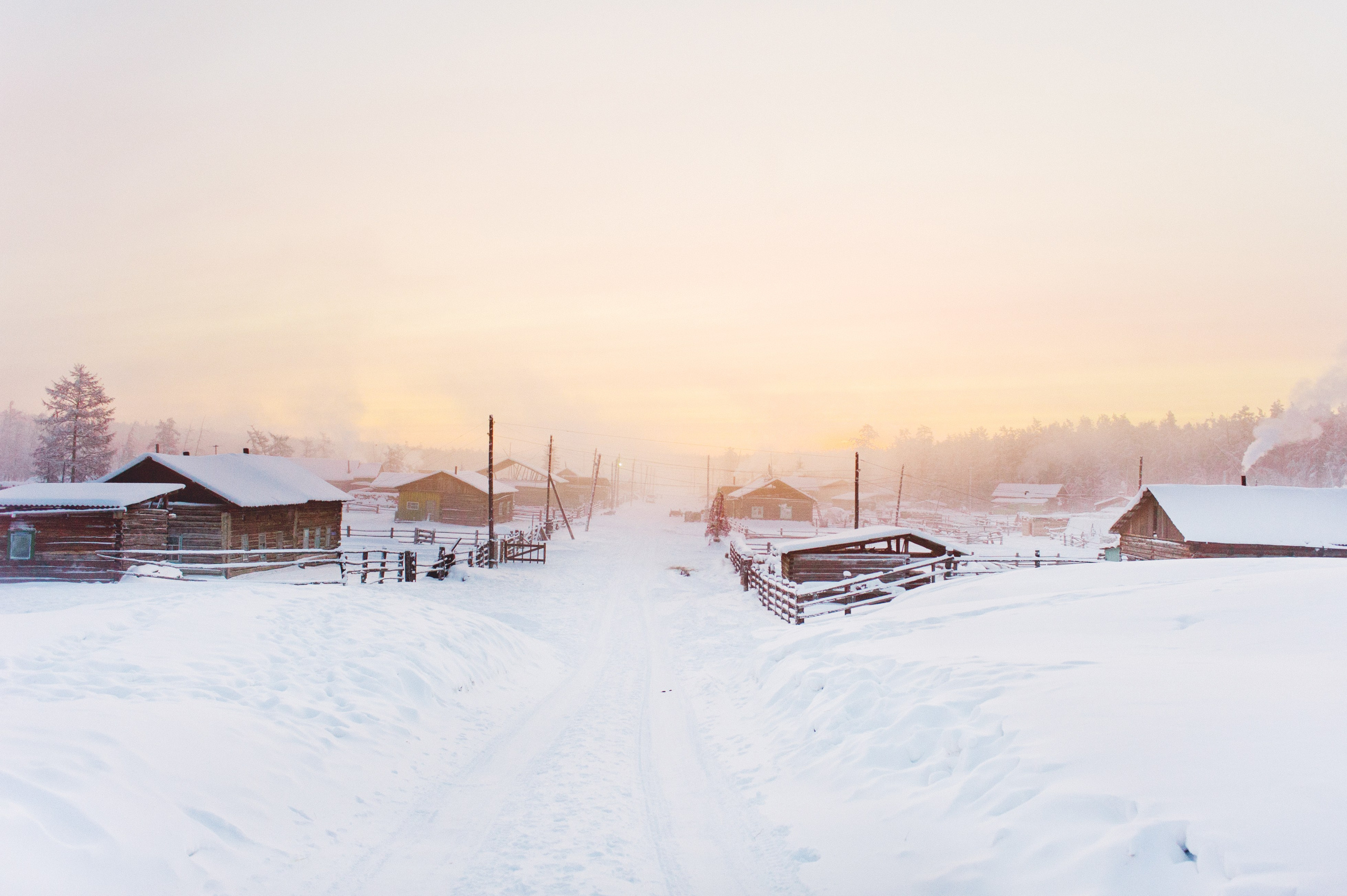 La meilleure saison. Ayar Kuo